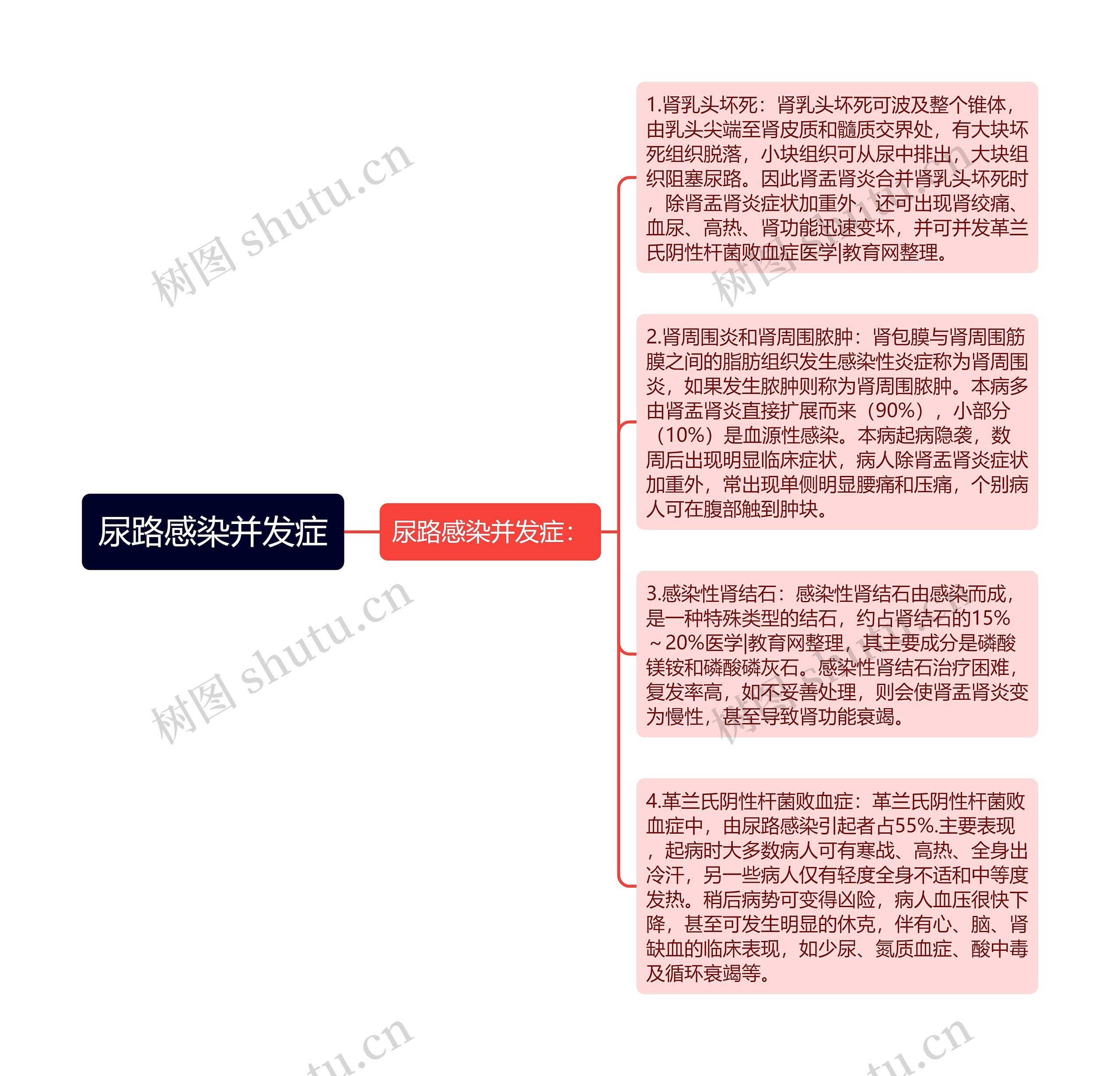 尿路感染并发症 尿路感染并发症