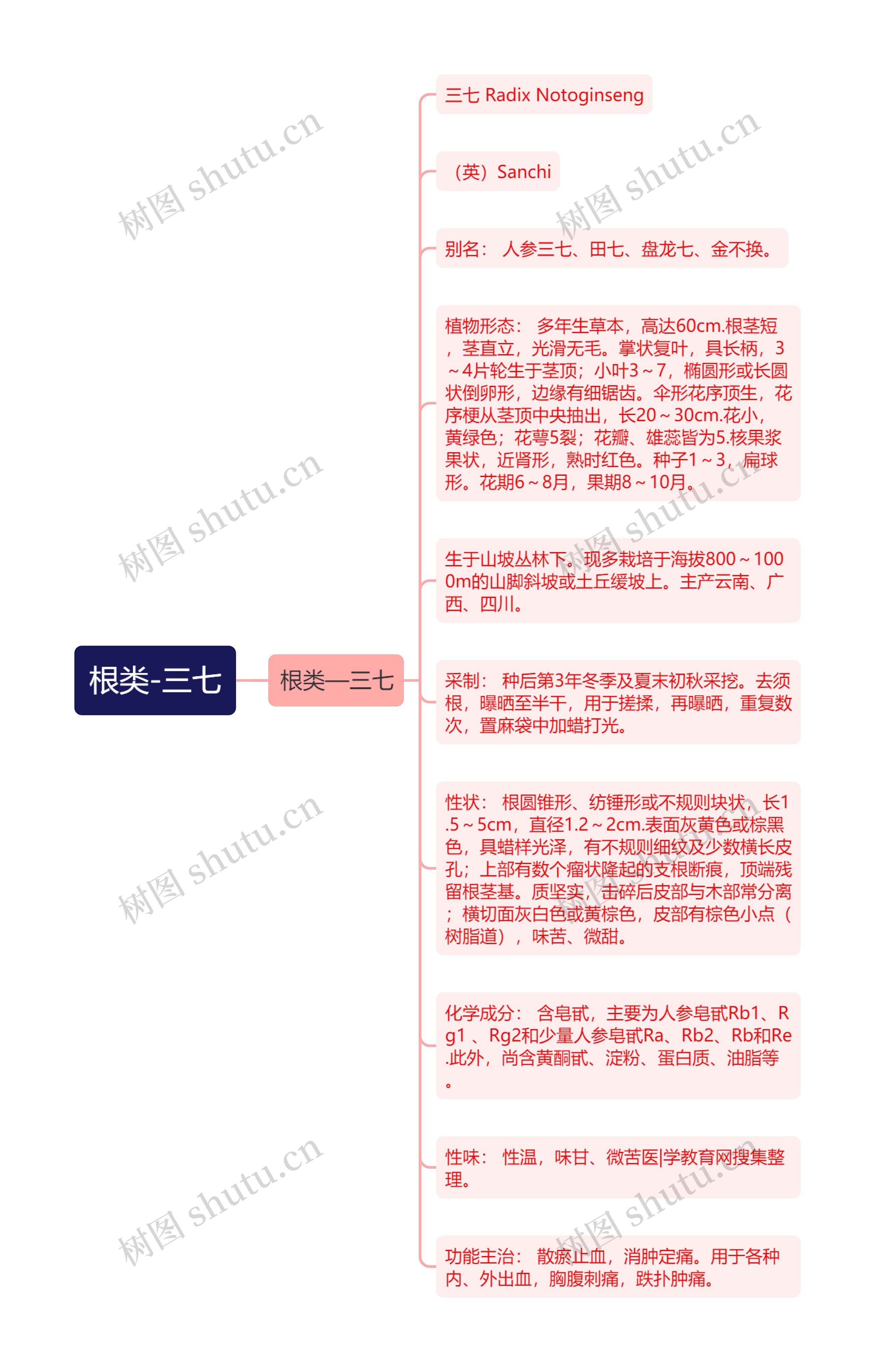 根类-三七 根类-三七