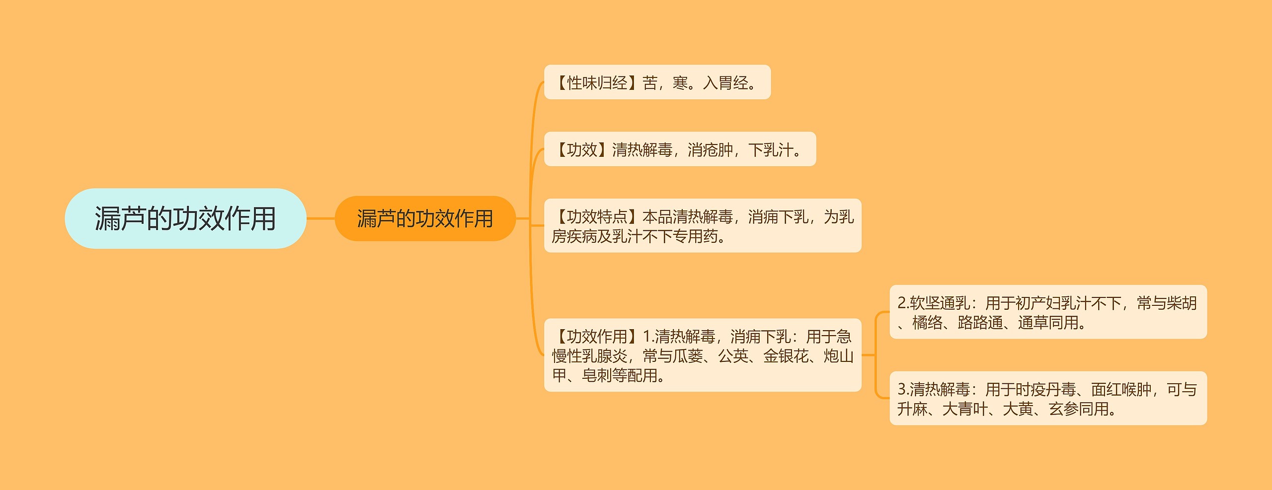 漏芦的功效作用 漏芦的功效作用