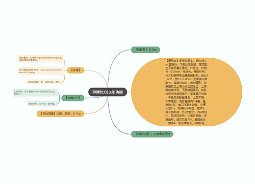 薜瓣处方|主治功能