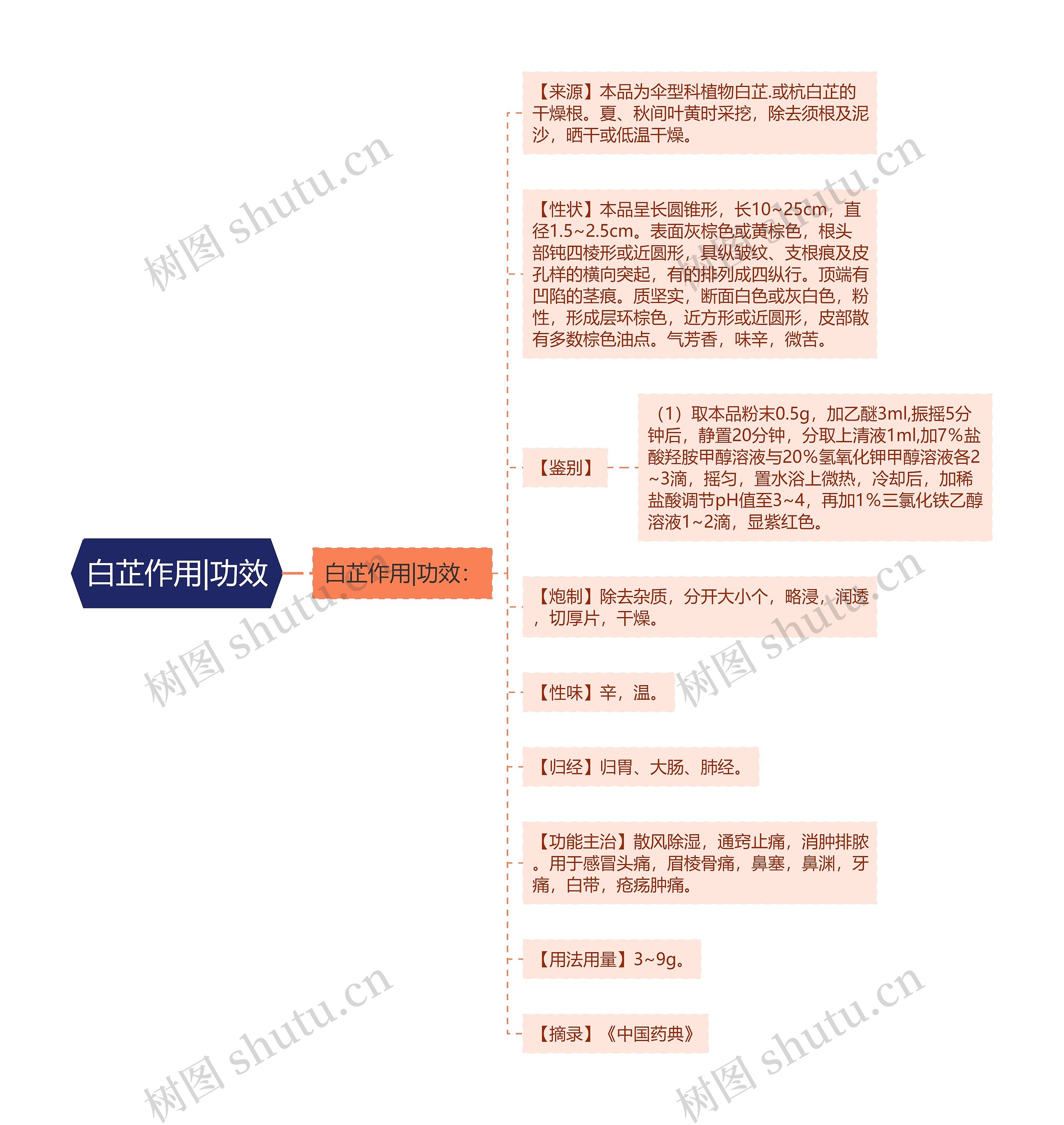 白芷作用|功效思维导图