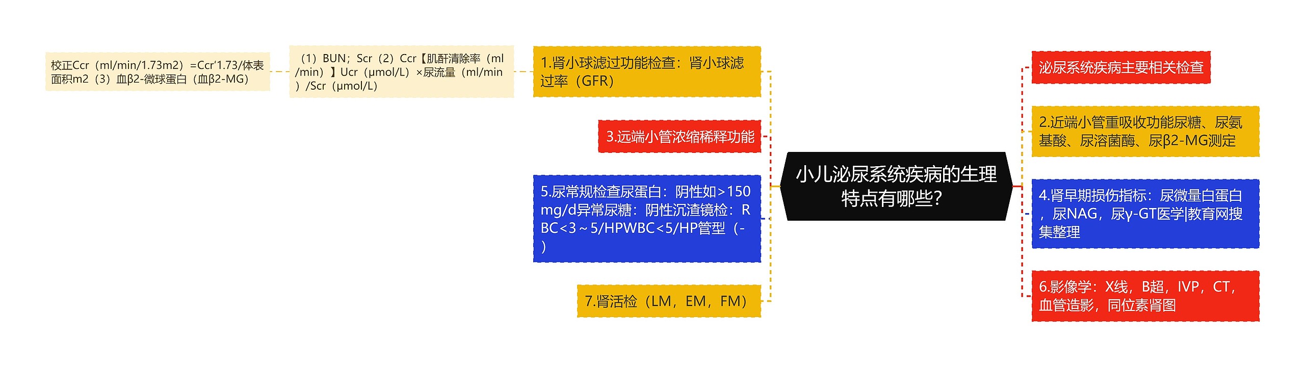 小儿泌尿系统疾病的生理特点有哪些？