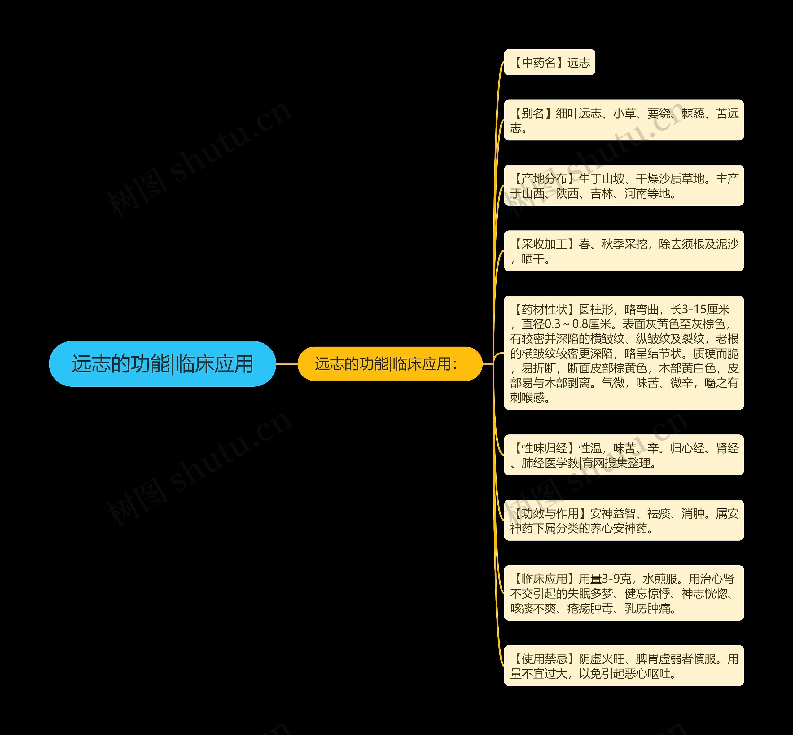 远志的功能|临床应用思维导图