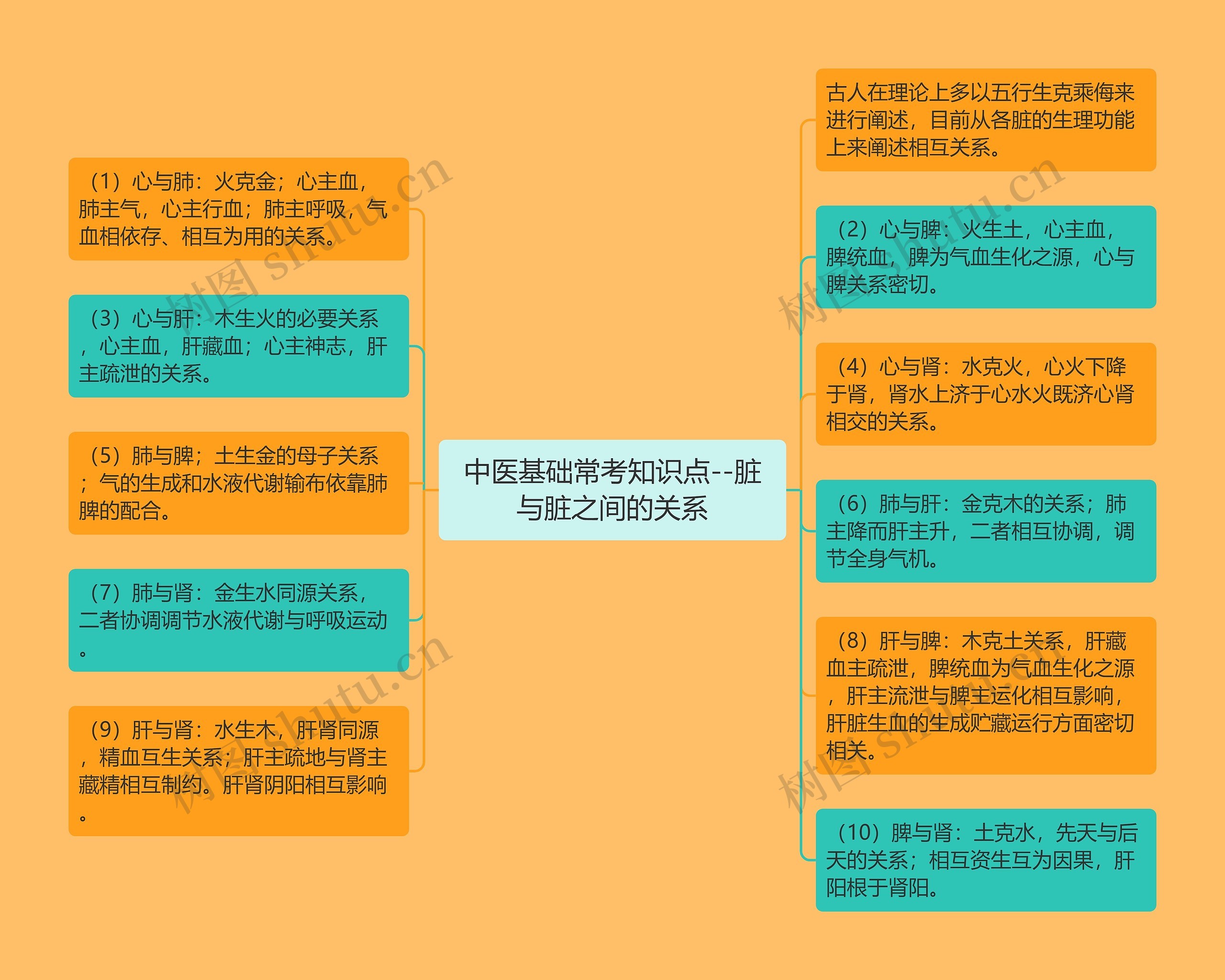 中医基础常考知识点--脏与脏之间的关系思维导图