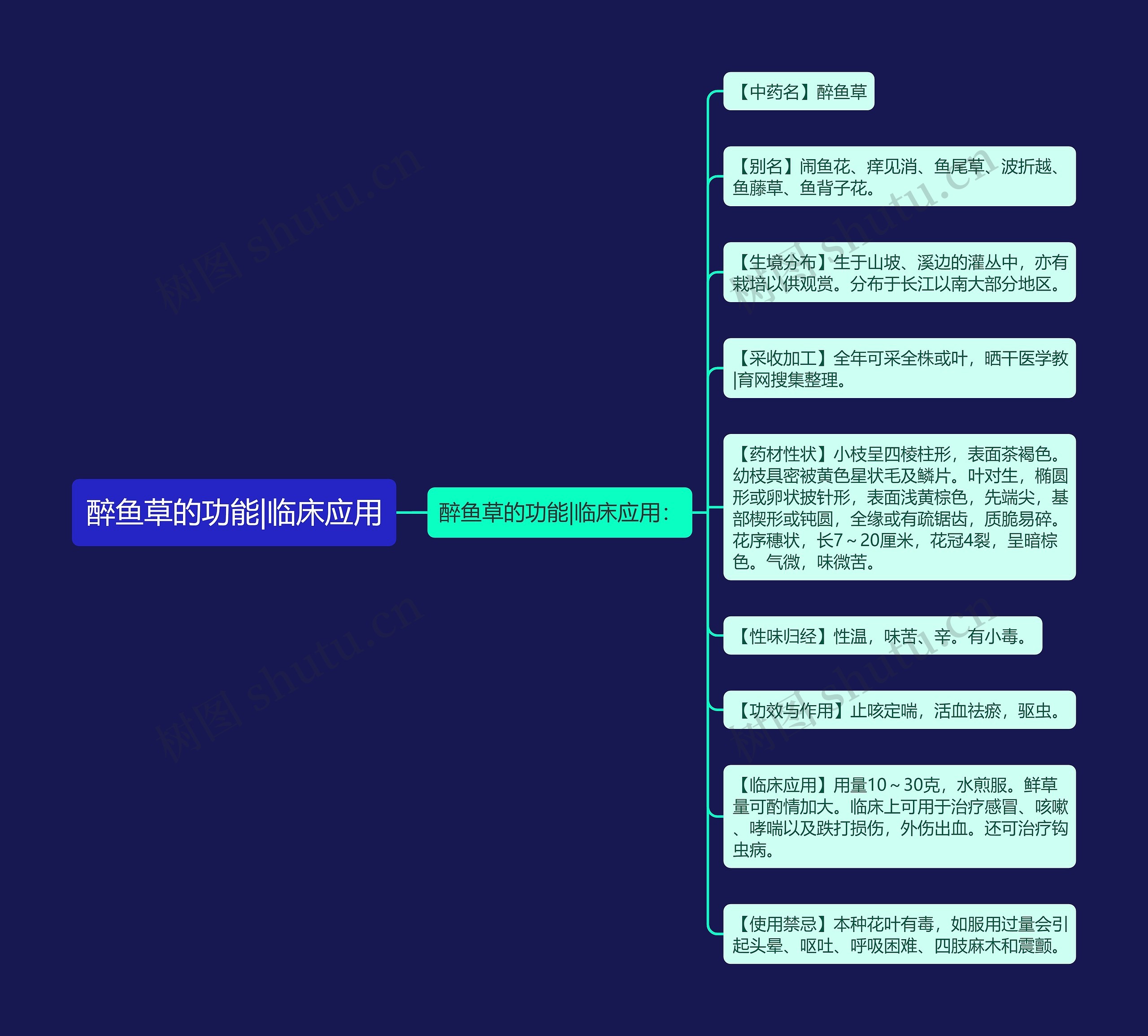 醉鱼草的功能|临床应用