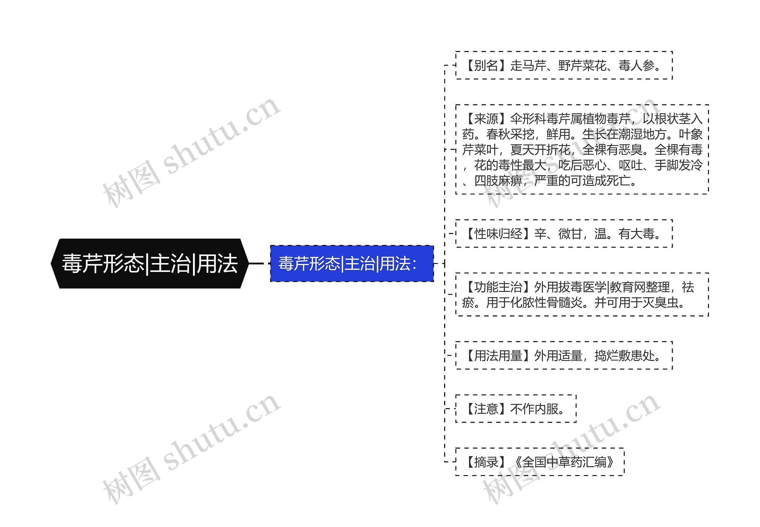 毒芹形态|主治|用法思维导图