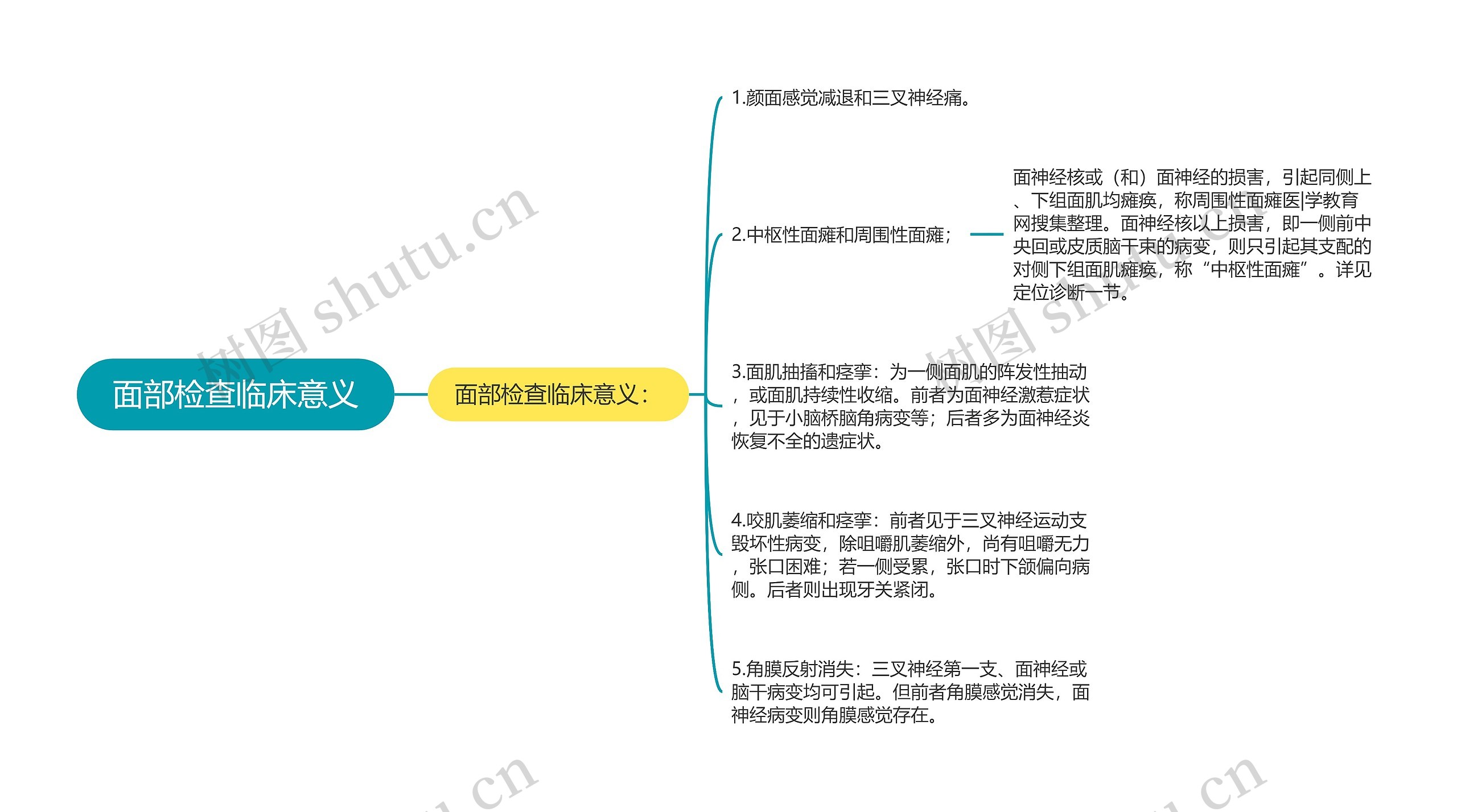 面部检查临床意义