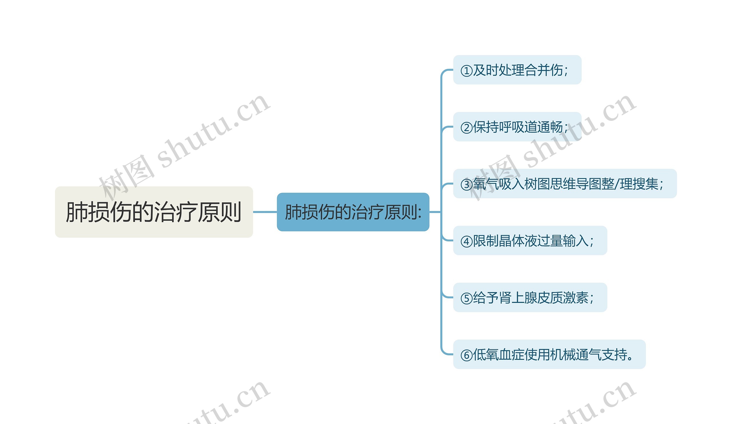 肺损伤的治疗原则思维导图