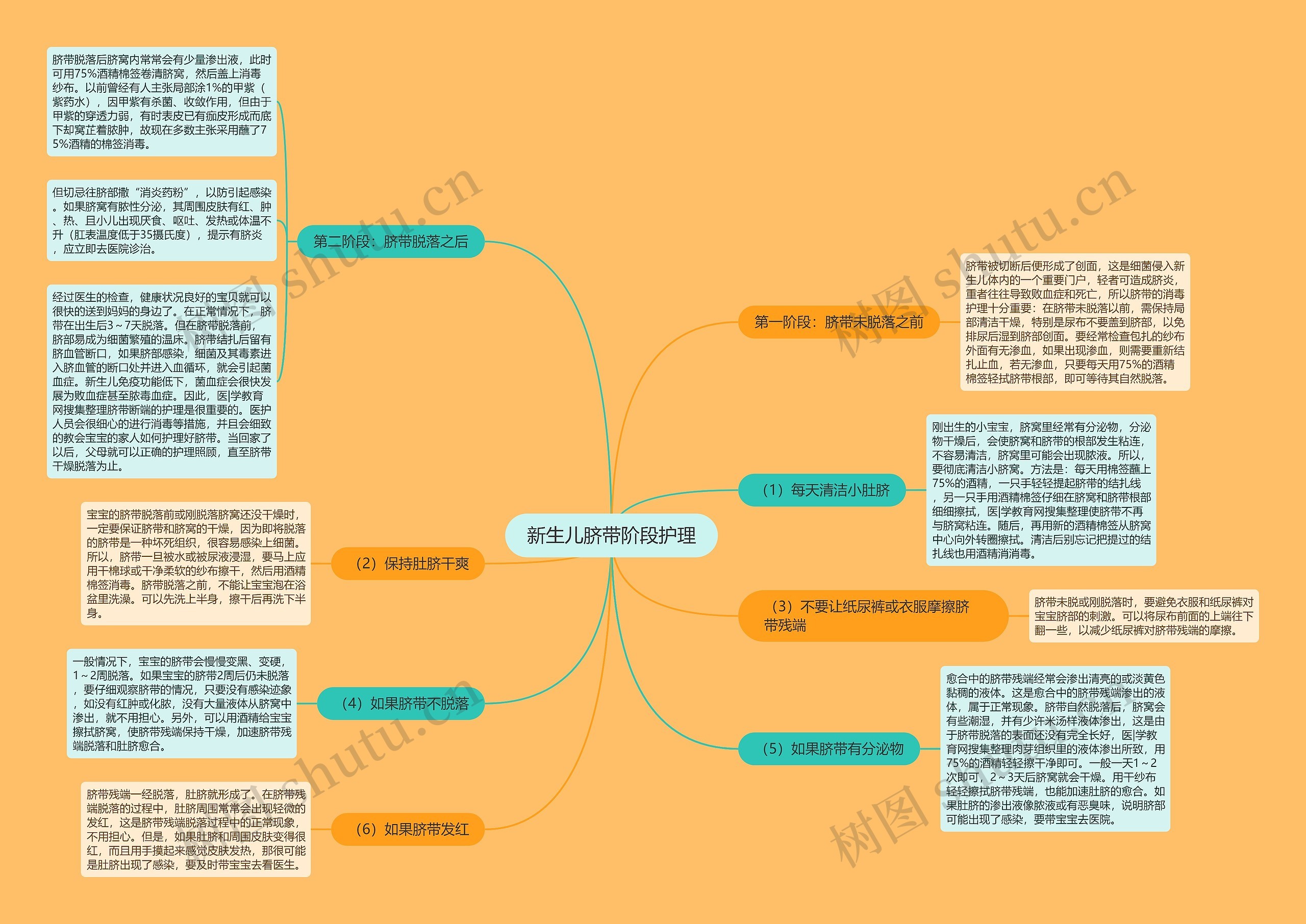 新生儿脐带阶段护理思维导图