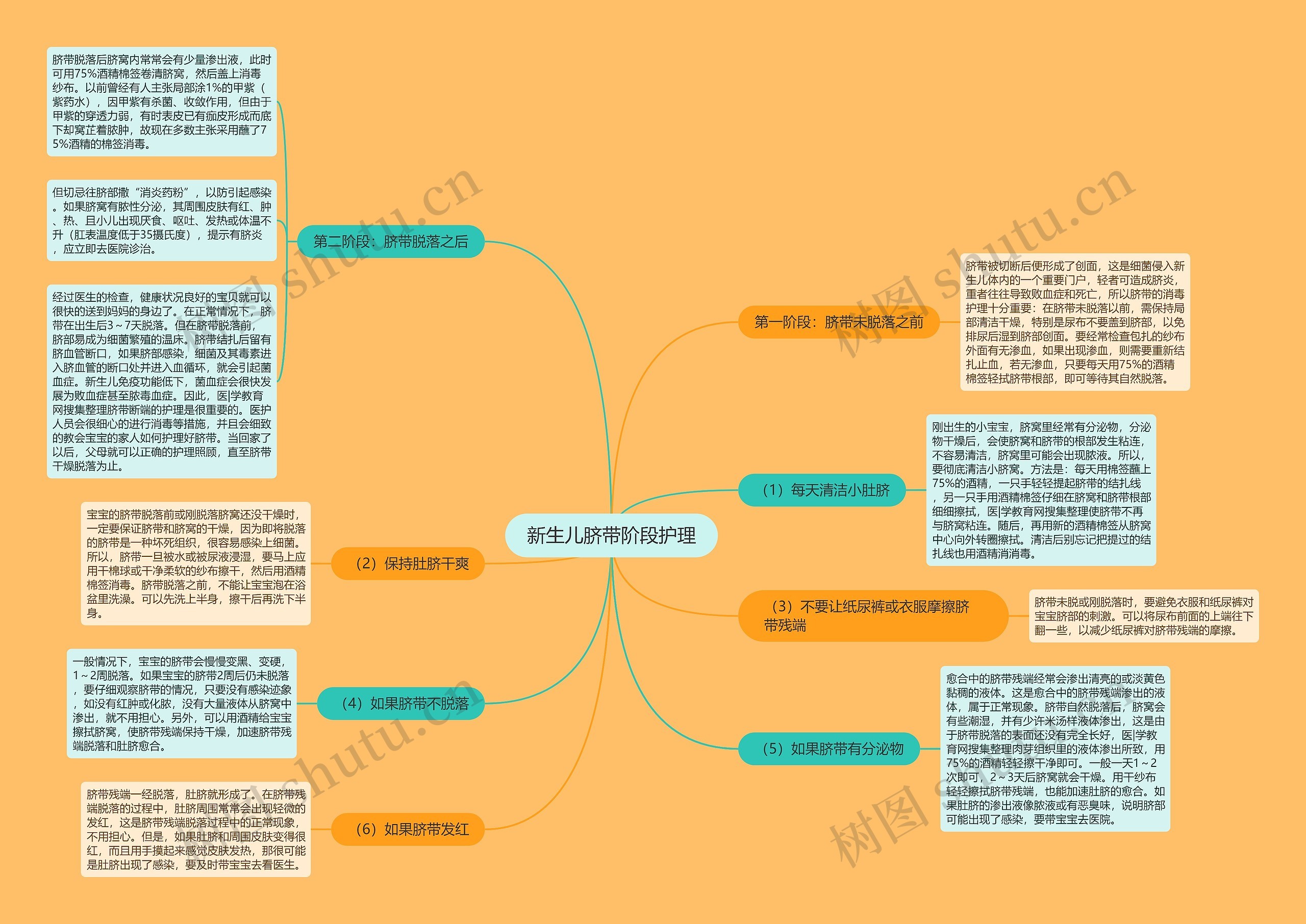 新生儿脐带阶段护理 新生儿脐带阶段护理