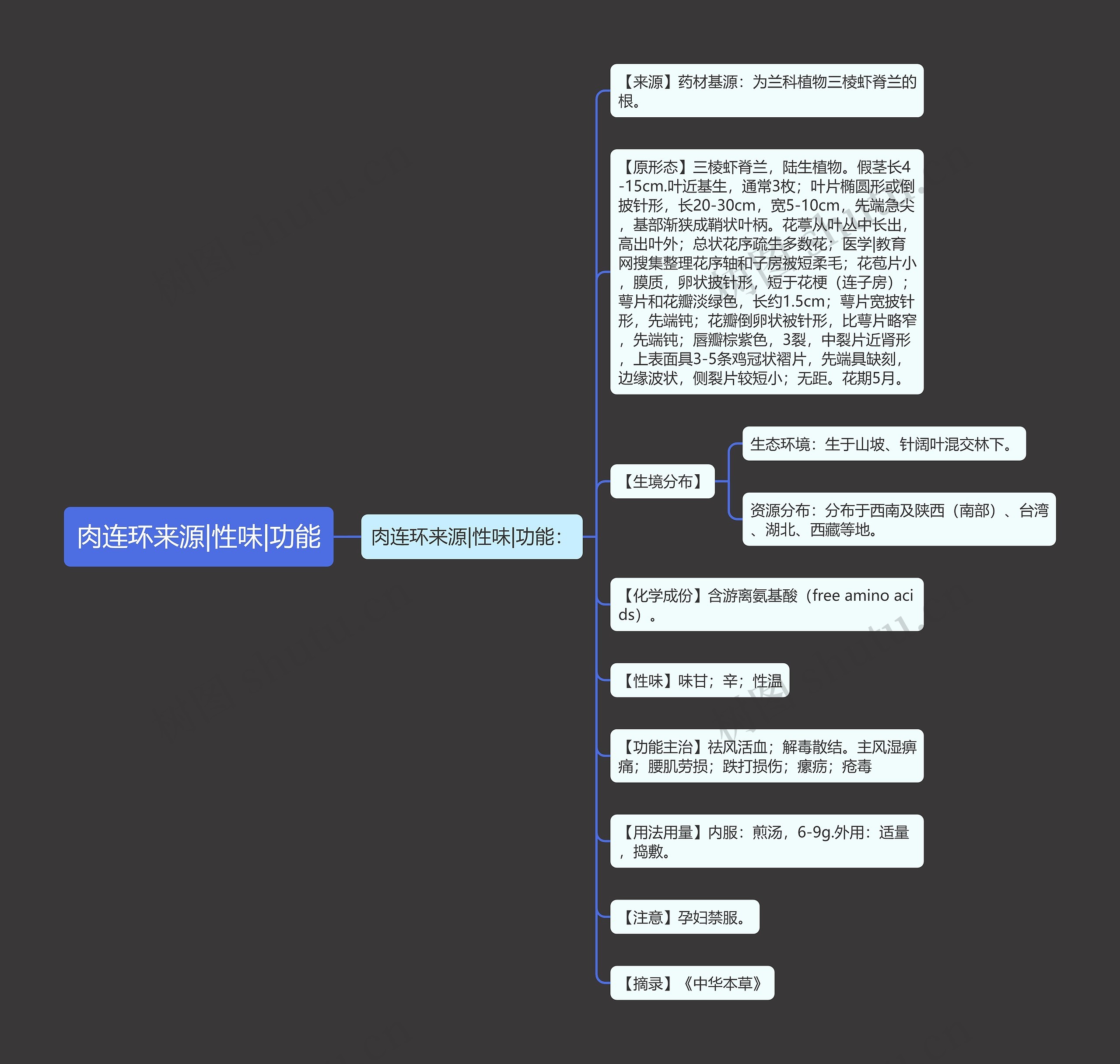 肉连环来源|性味|功能思维导图