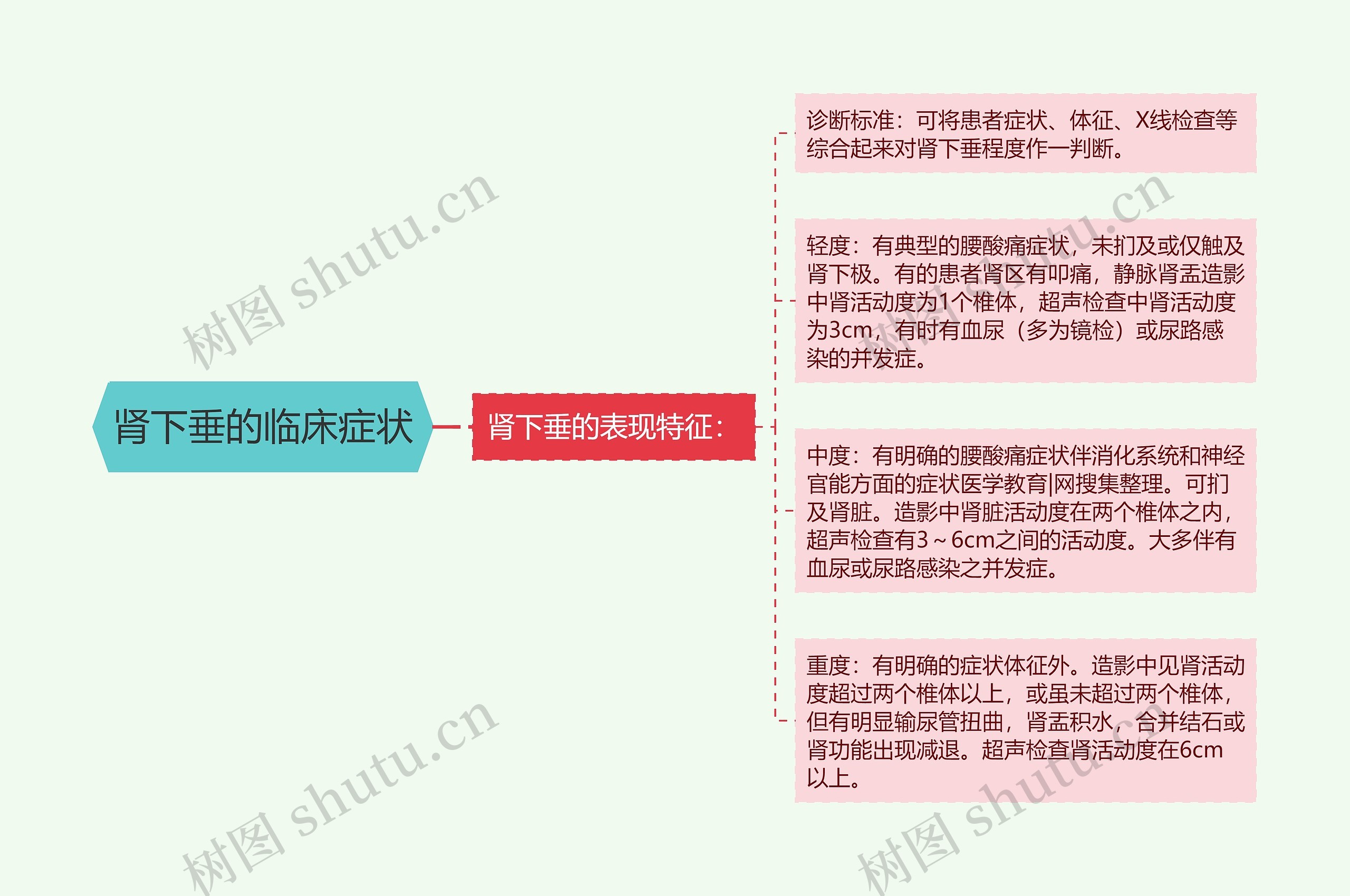 肾下垂的临床症状