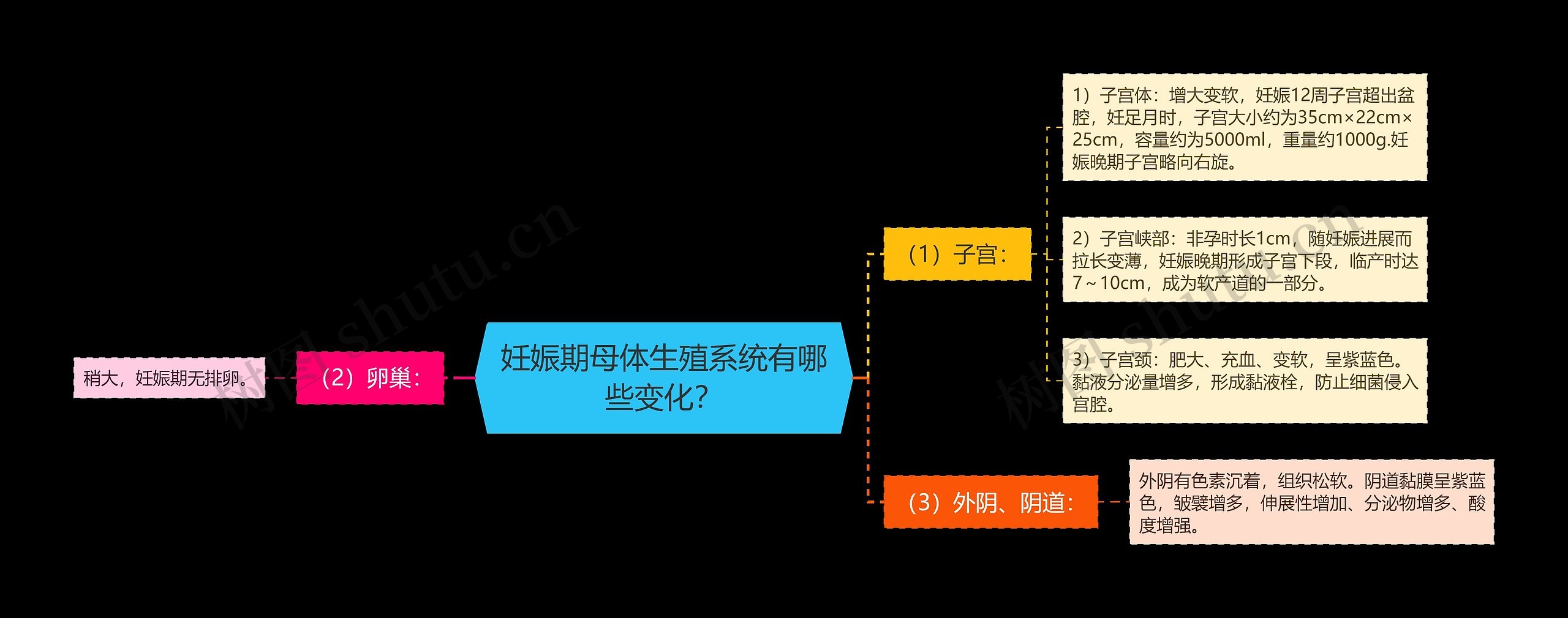 妊娠期母体生殖系统有哪些变化？思维导图