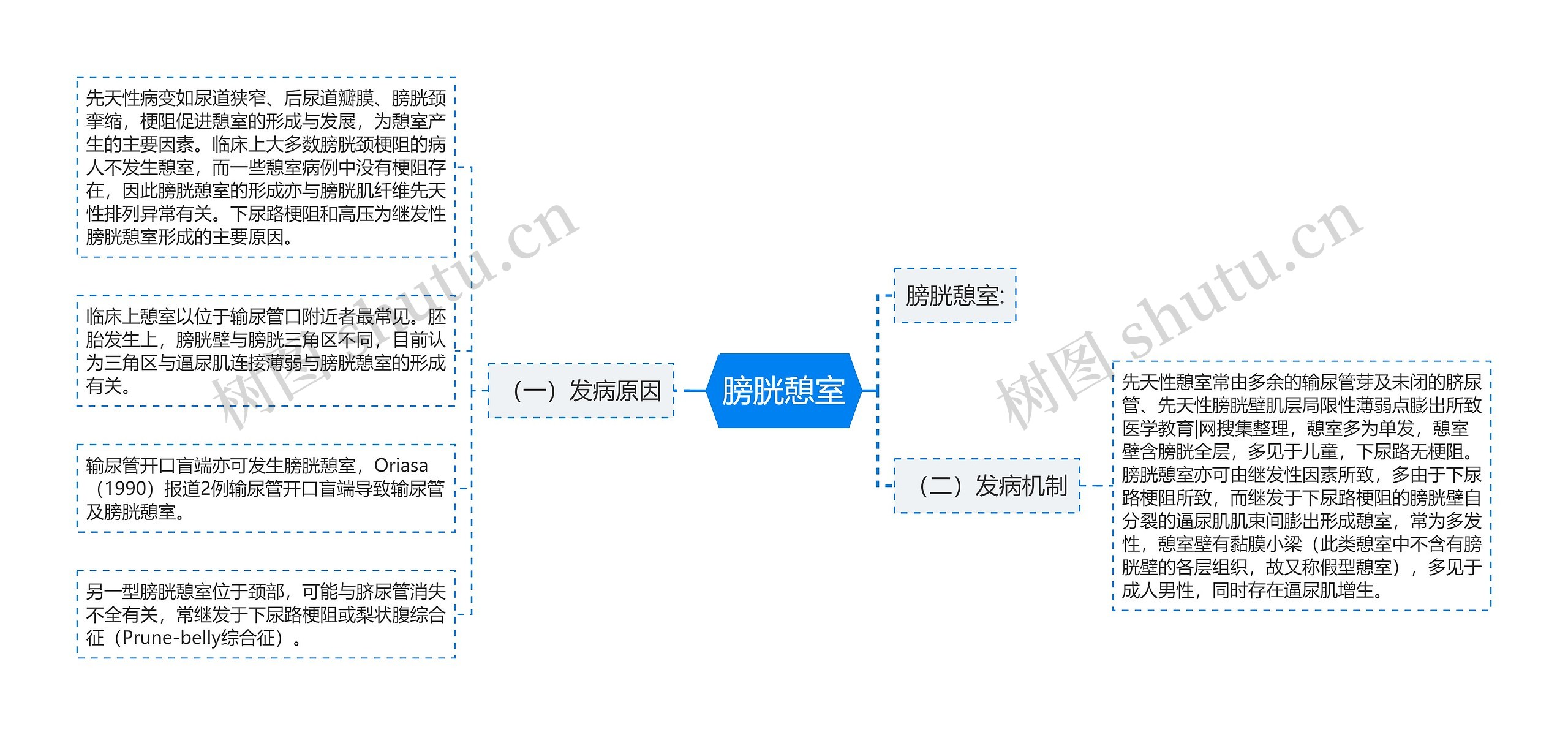 膀胱憩室思维导图