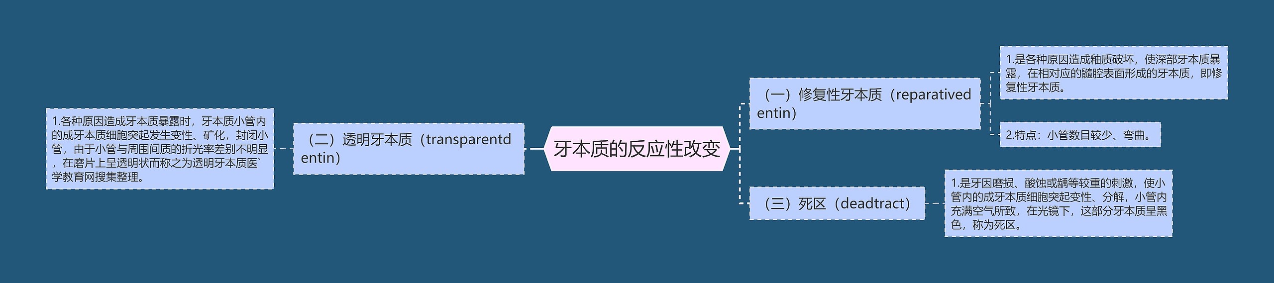 牙本质的反应性改变