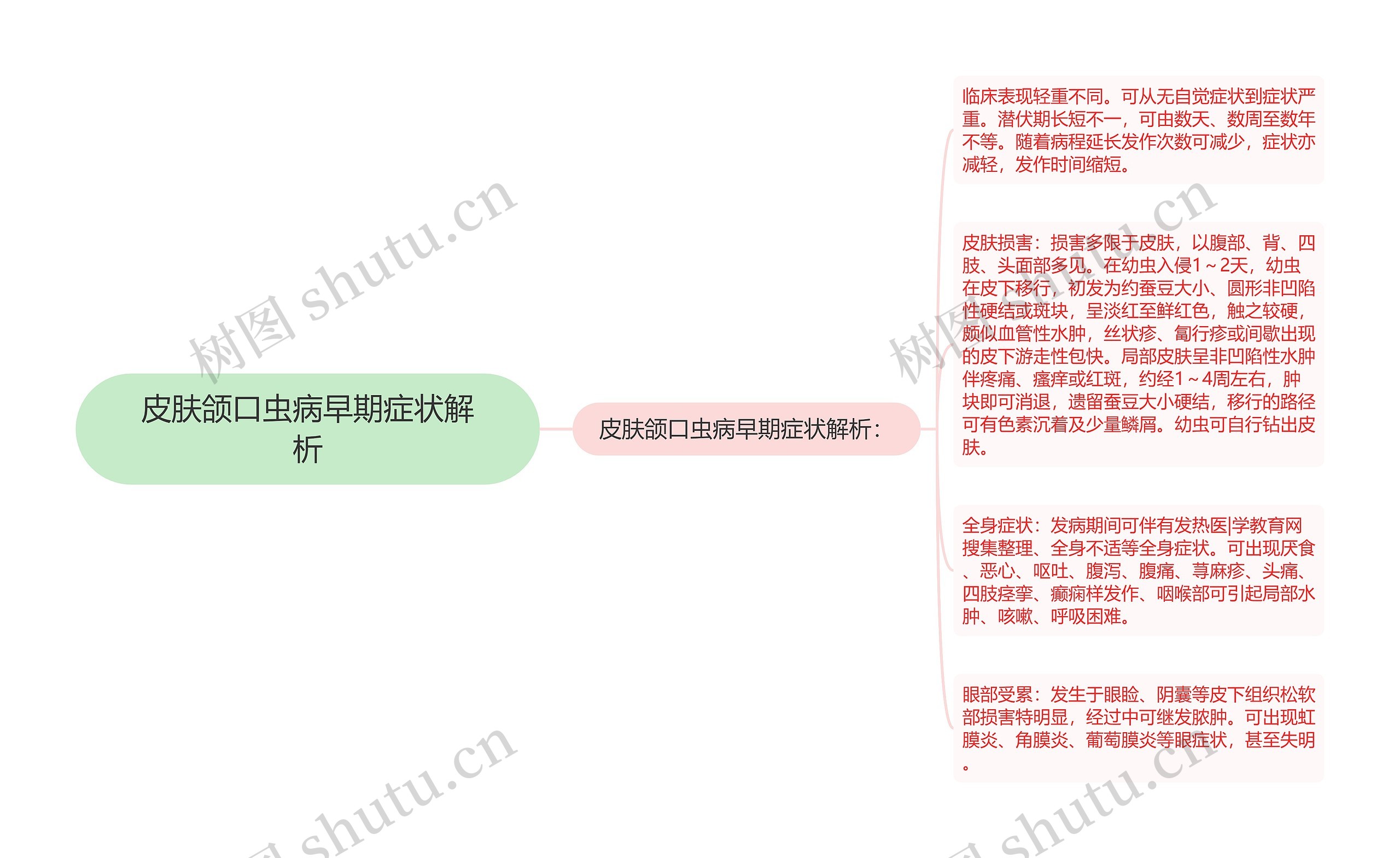 皮肤颌口虫病早期症状解析思维导图