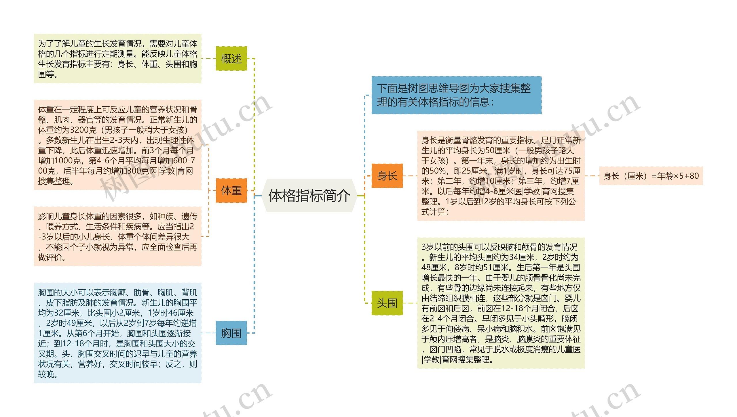 体格指标简介思维导图