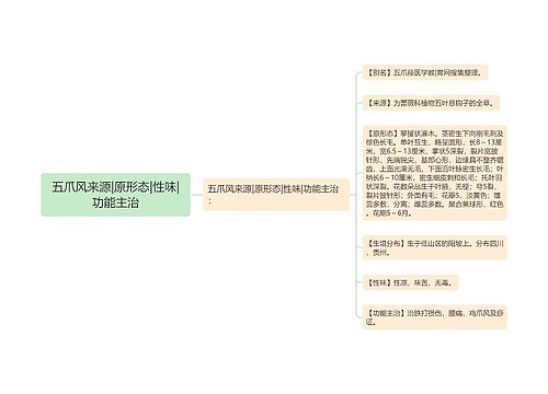 五爪风来源|原形态|性味|功能主治