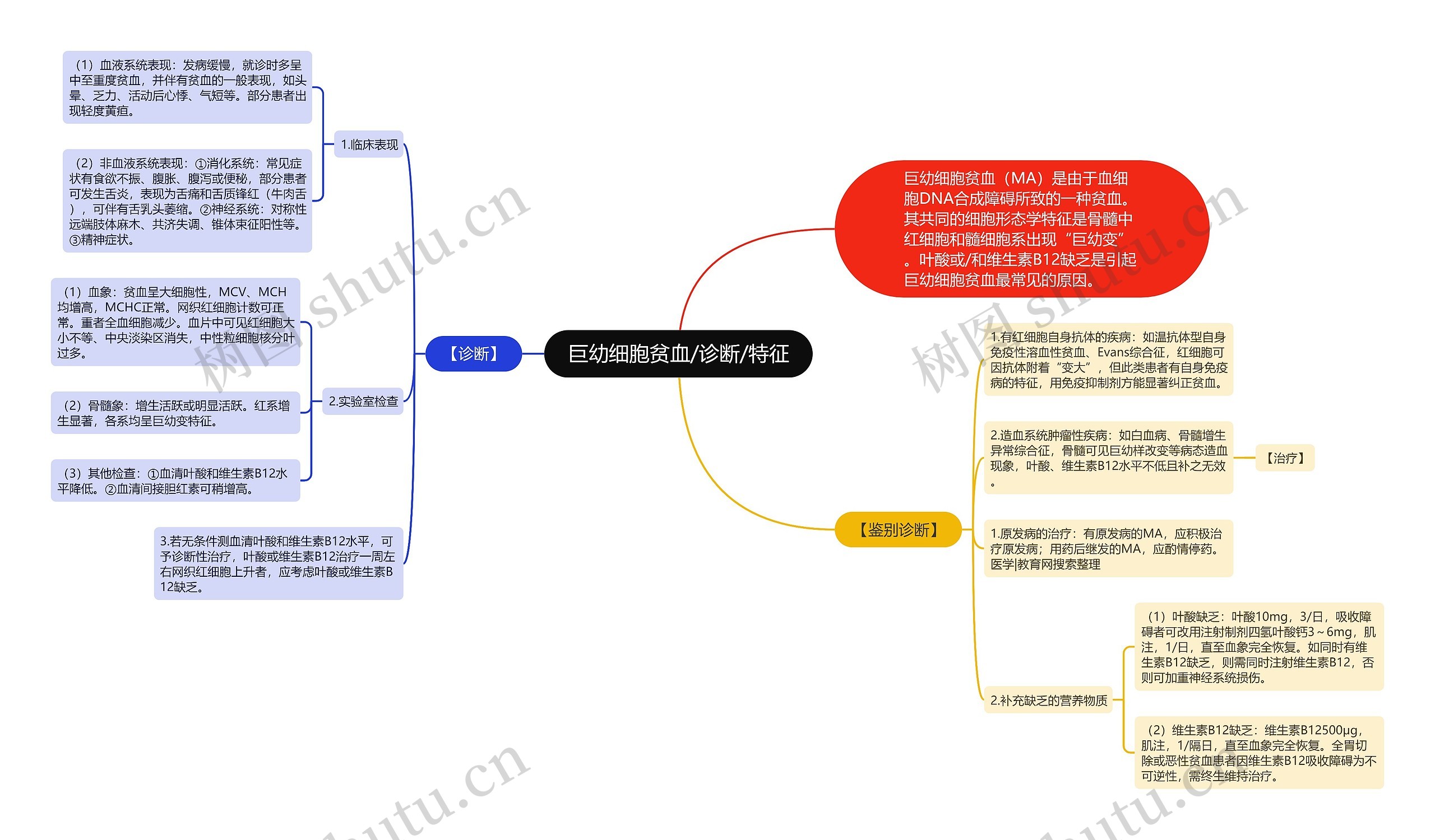 巨幼细胞贫血/诊断/特征思维导图