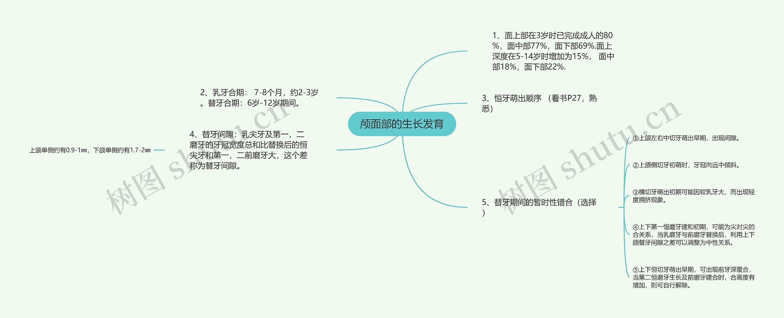 颅面部的生长发育