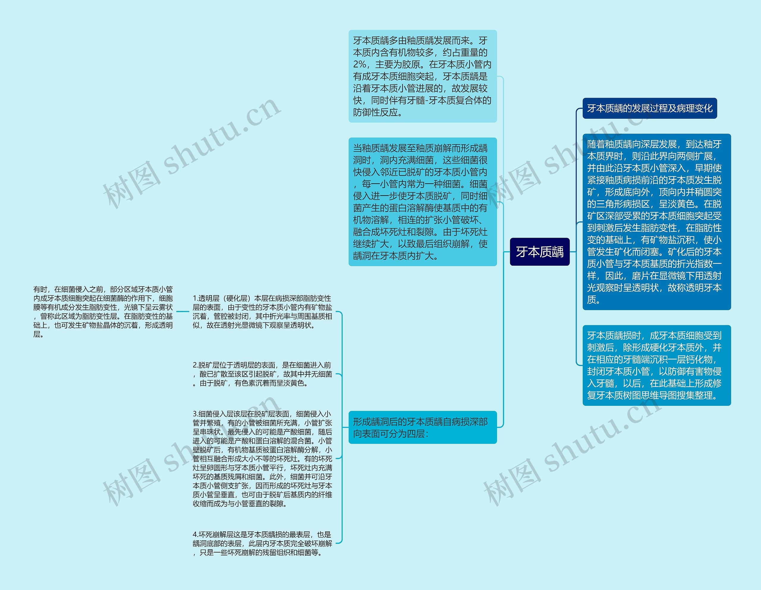 牙本质龋思维导图