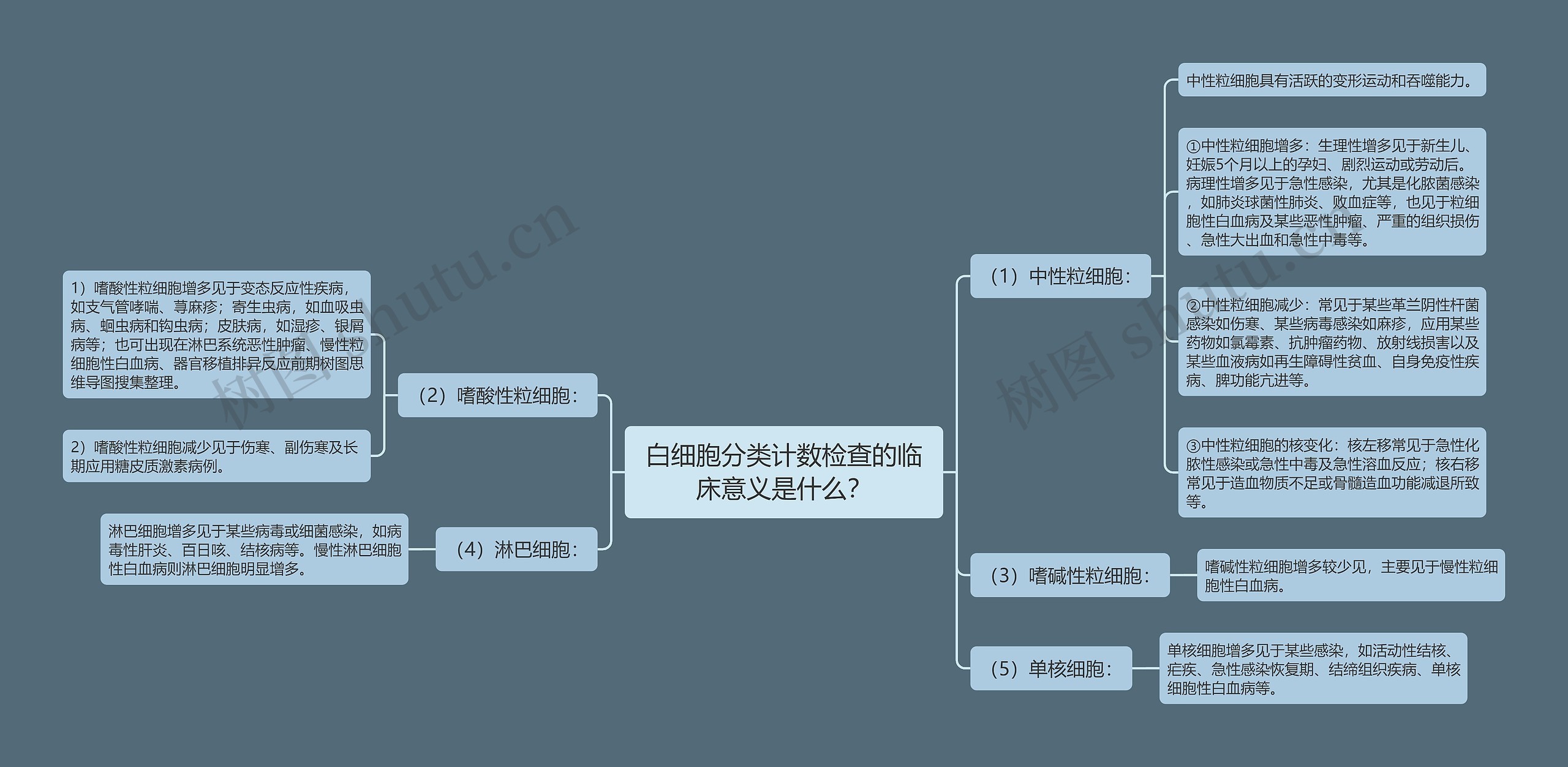 白细胞分类计数检查的临床意义是什么？