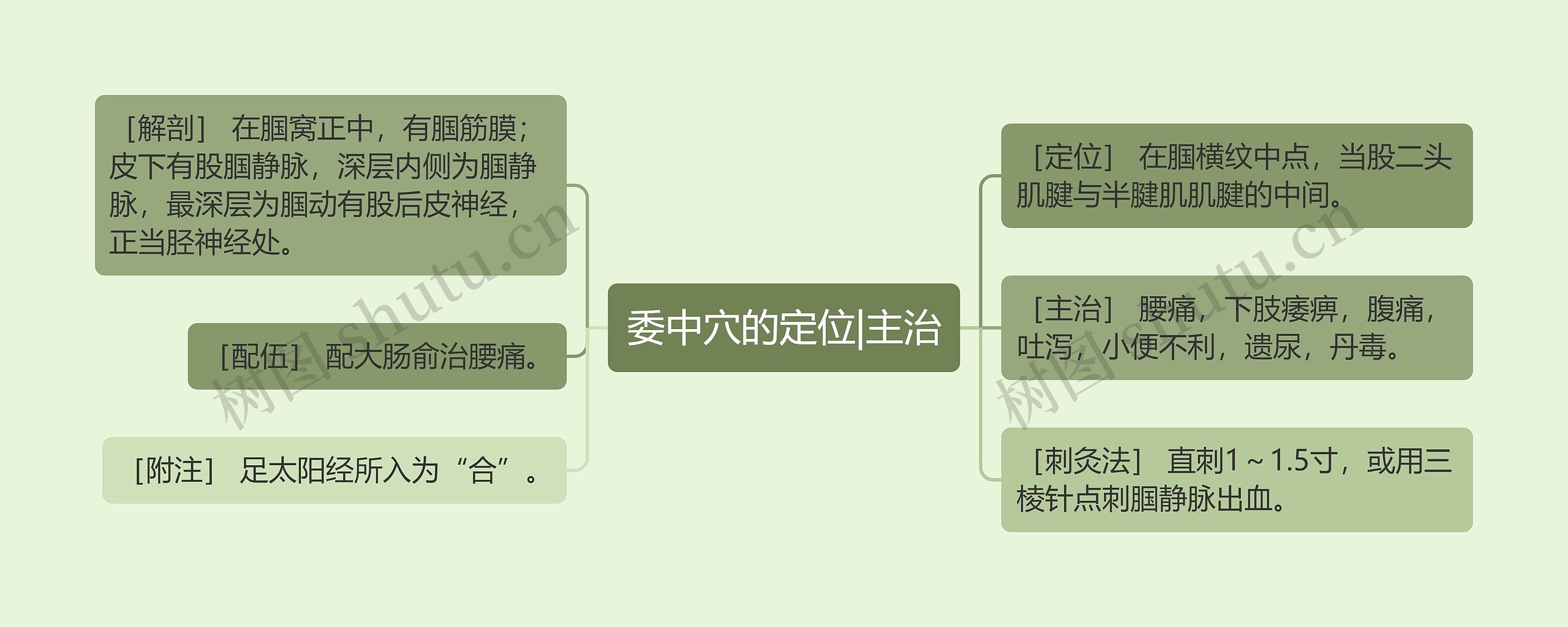 委中穴的定位|主治 委中穴的定位|主治