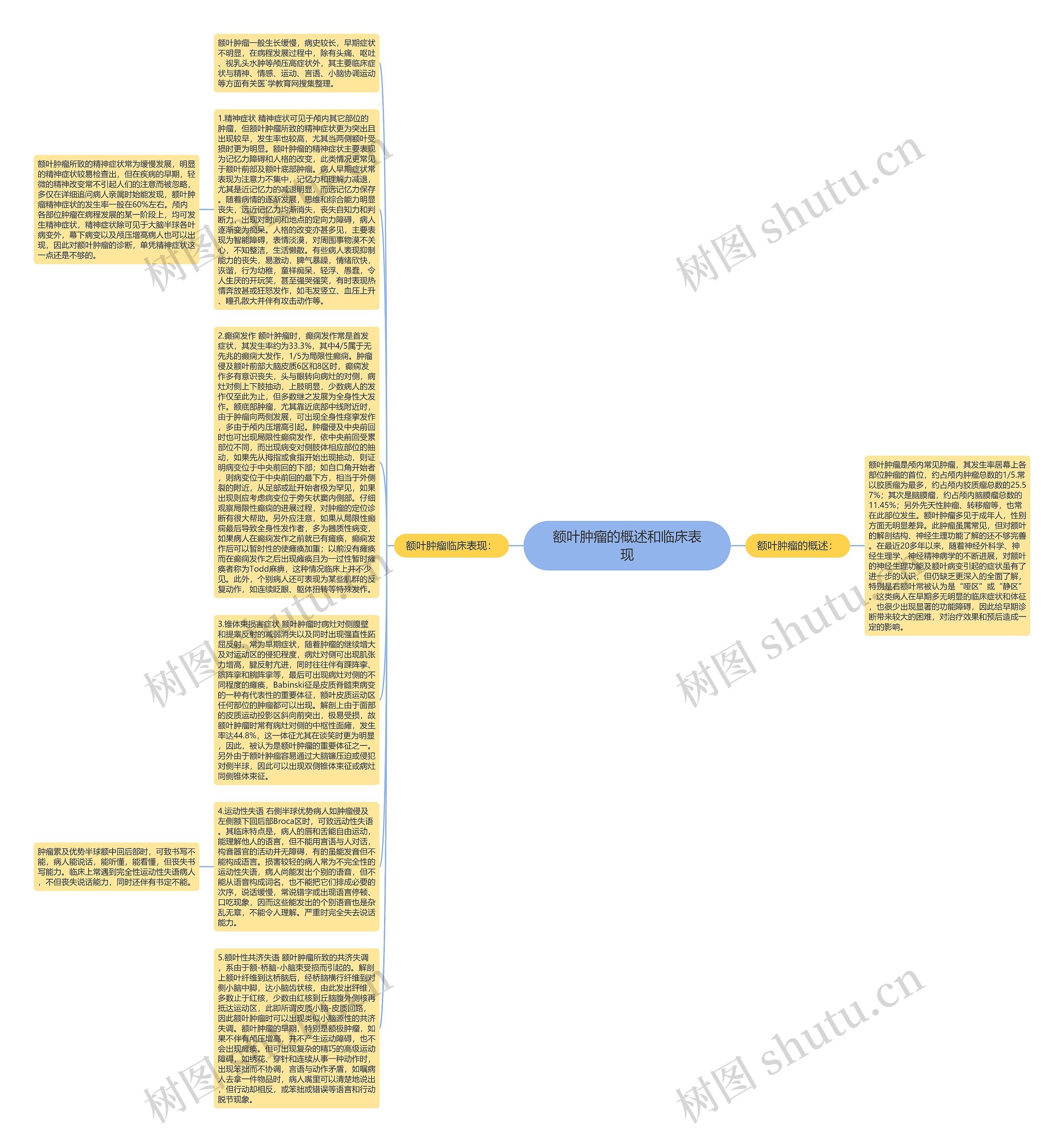 额叶肿瘤的概述和临床表现思维导图