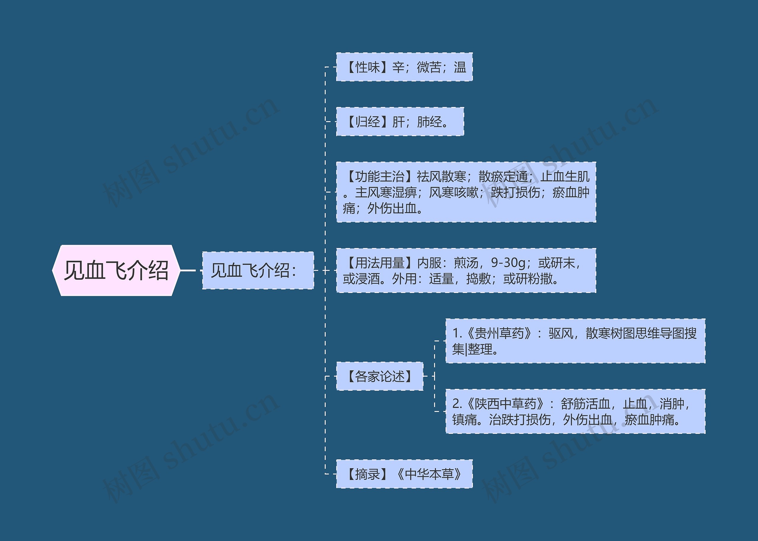 见血飞介绍思维导图