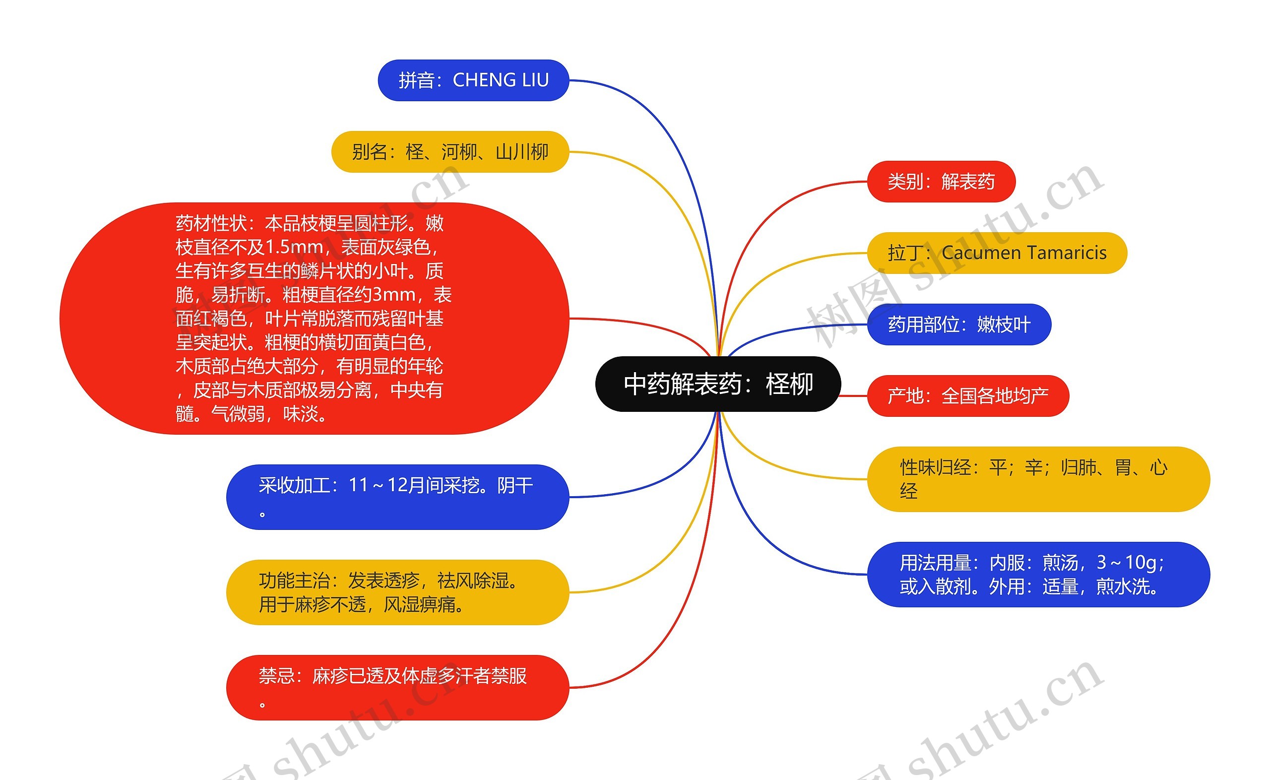 中药解表药：柽柳思维导图