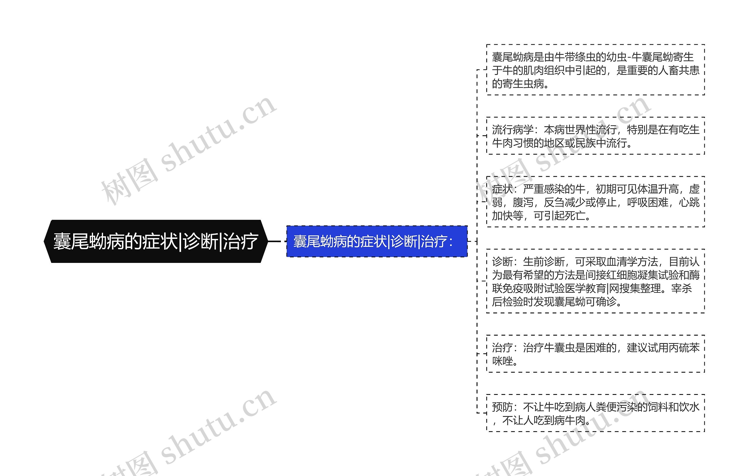 囊尾蚴病的症状|诊断|治疗