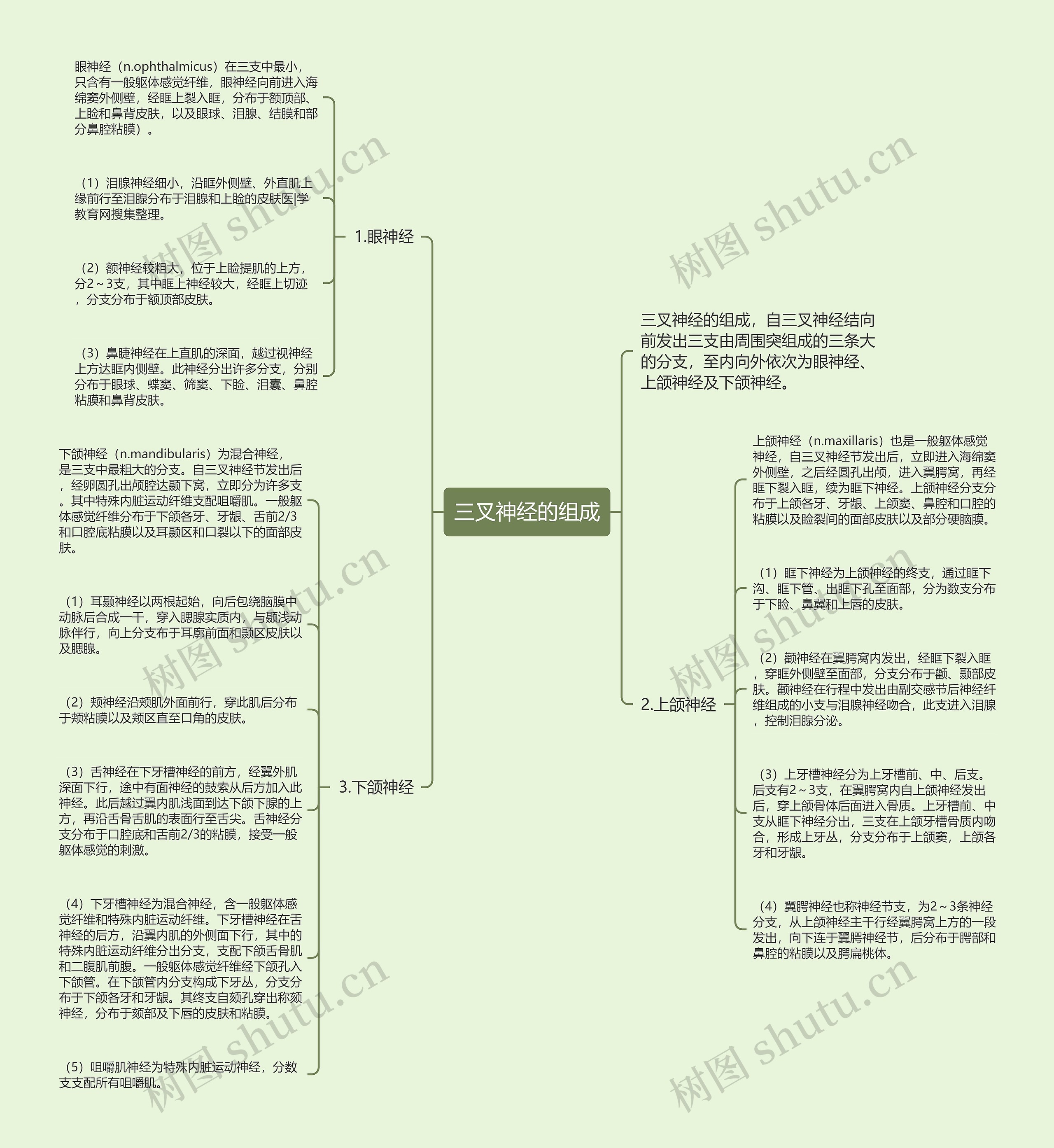三叉神经的组成 三叉神经的组成