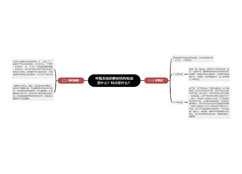 呼吸系统的解剖结构组成是什么？特点是什么？