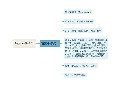 芭蕉-种子类