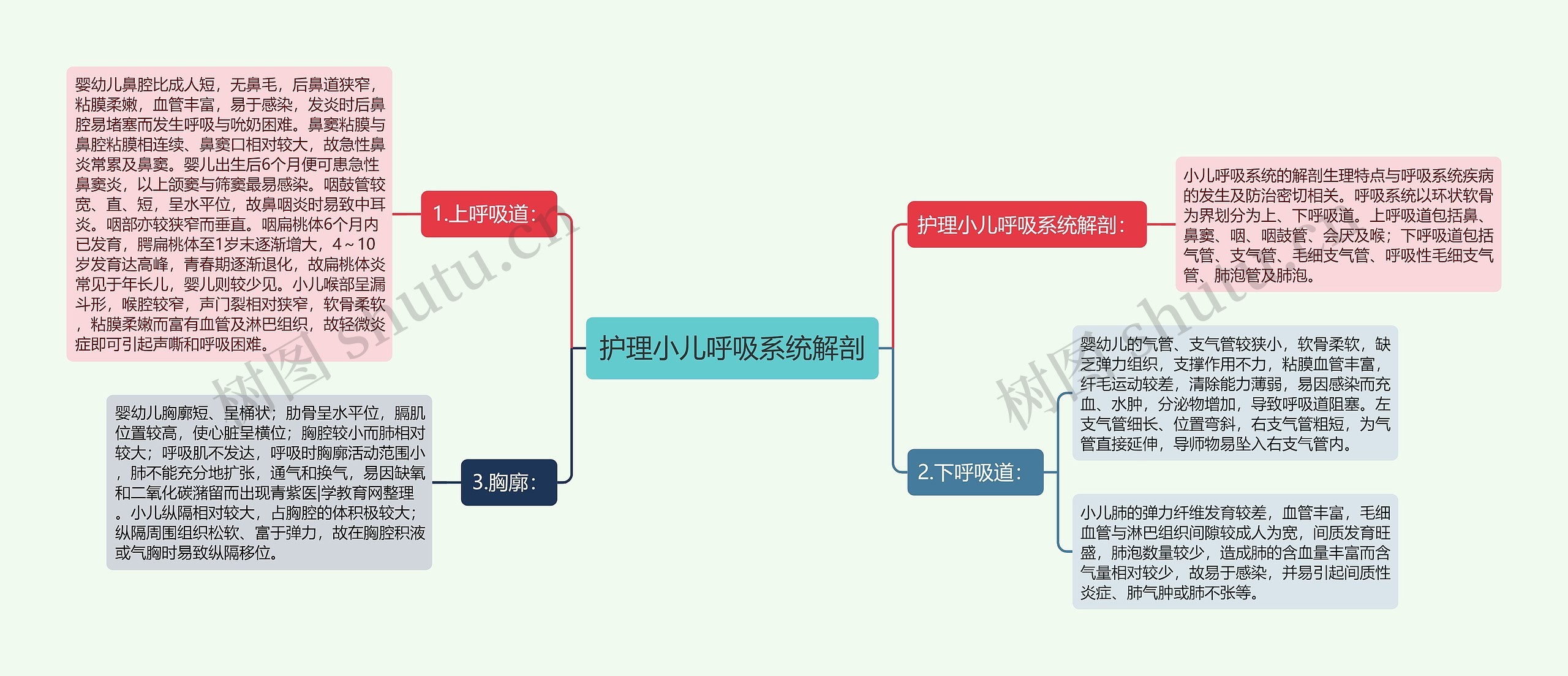 护理小儿呼吸系统解剖思维导图