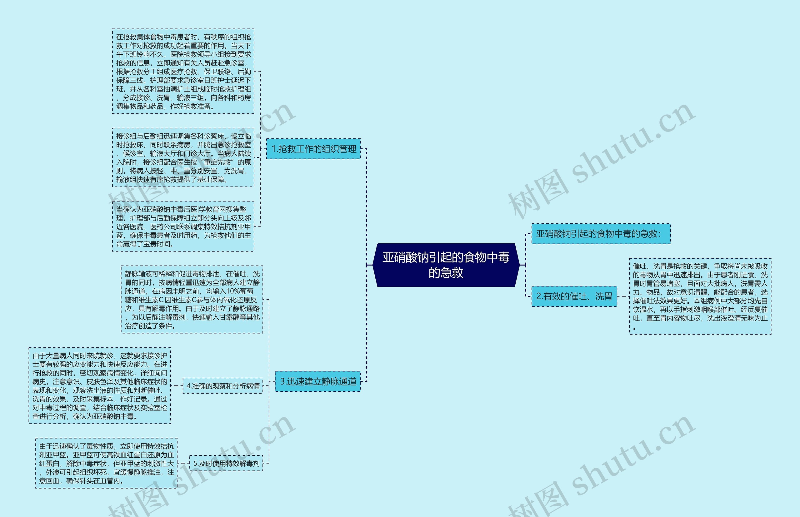 亚硝酸钠引起的食物中毒的急救思维导图