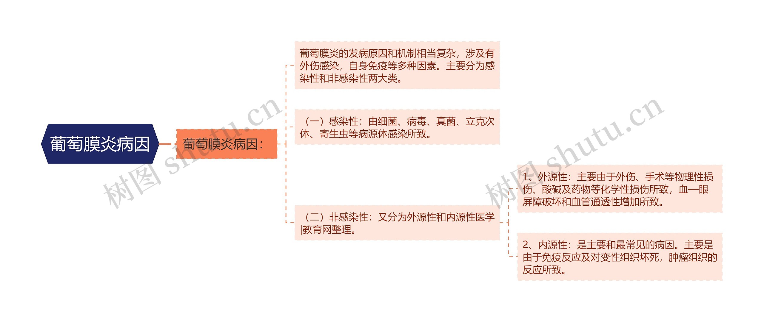 葡萄膜炎病因思维导图