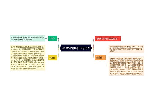 溶组织内阿米巴的形态