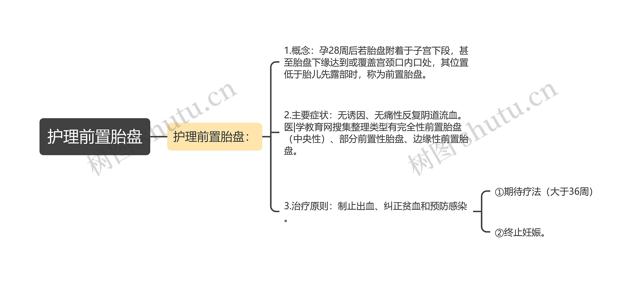 护理前置胎盘 护理前置胎盘