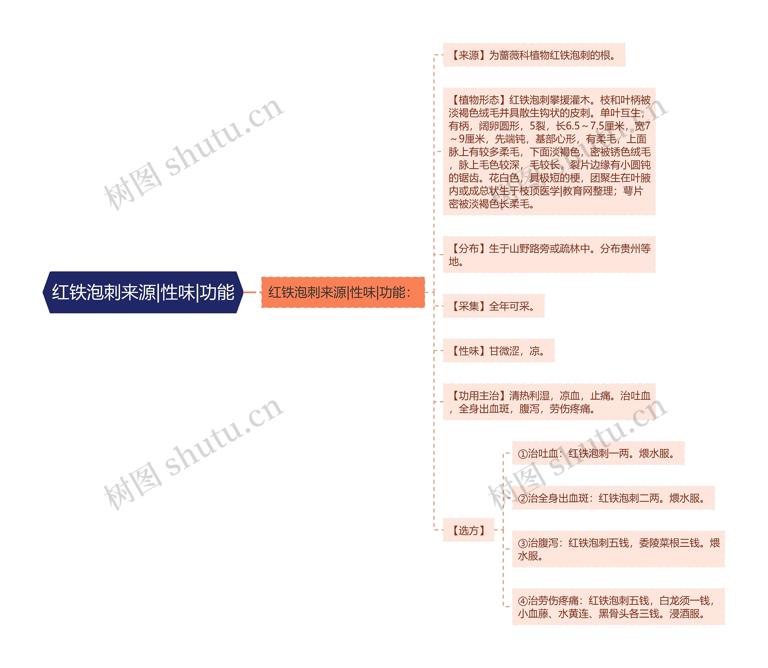 红铁泡刺来源|性味|功能思维导图