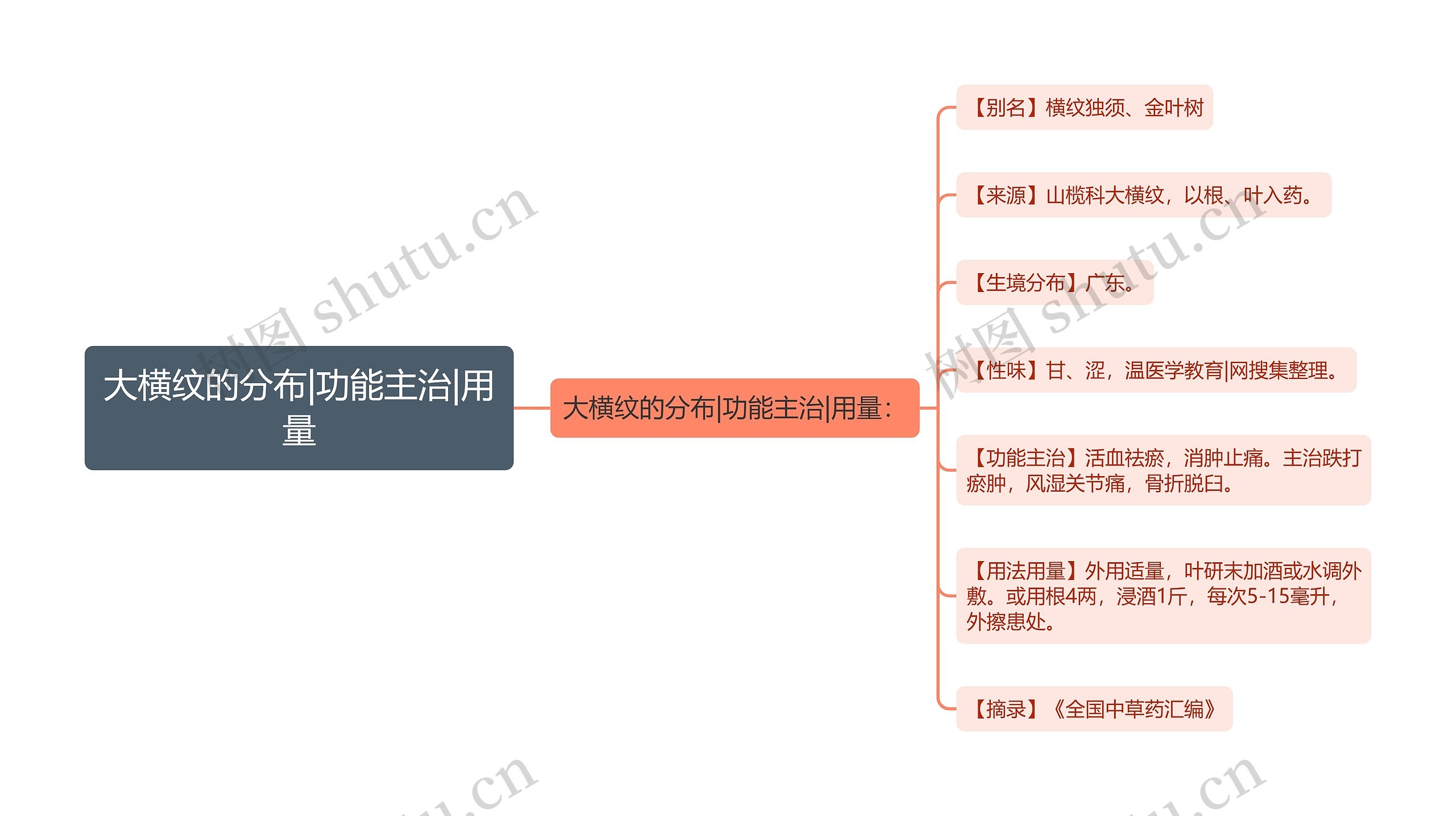 大横纹的分布|功能主治|用量思维导图