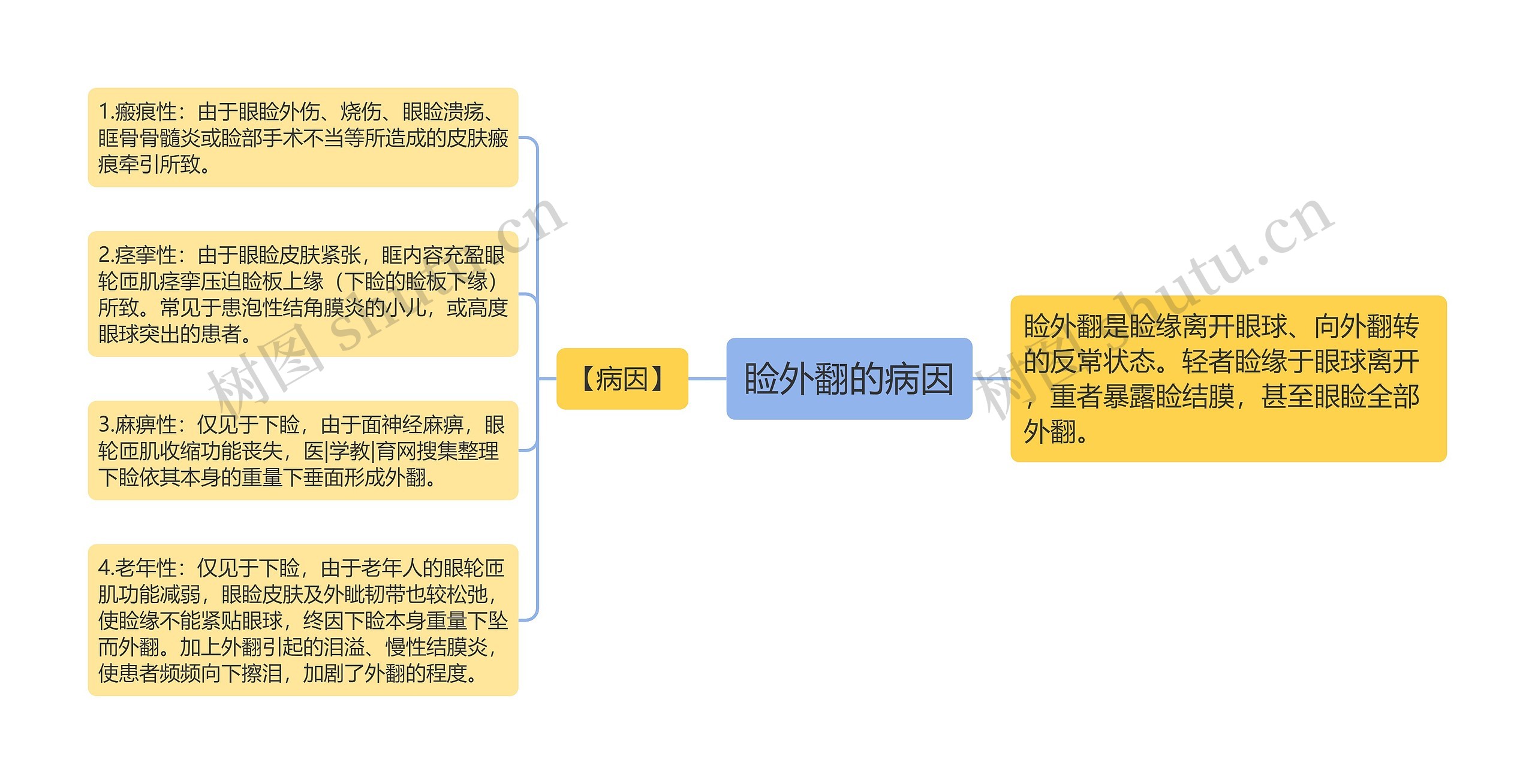 睑外翻的病因思维导图