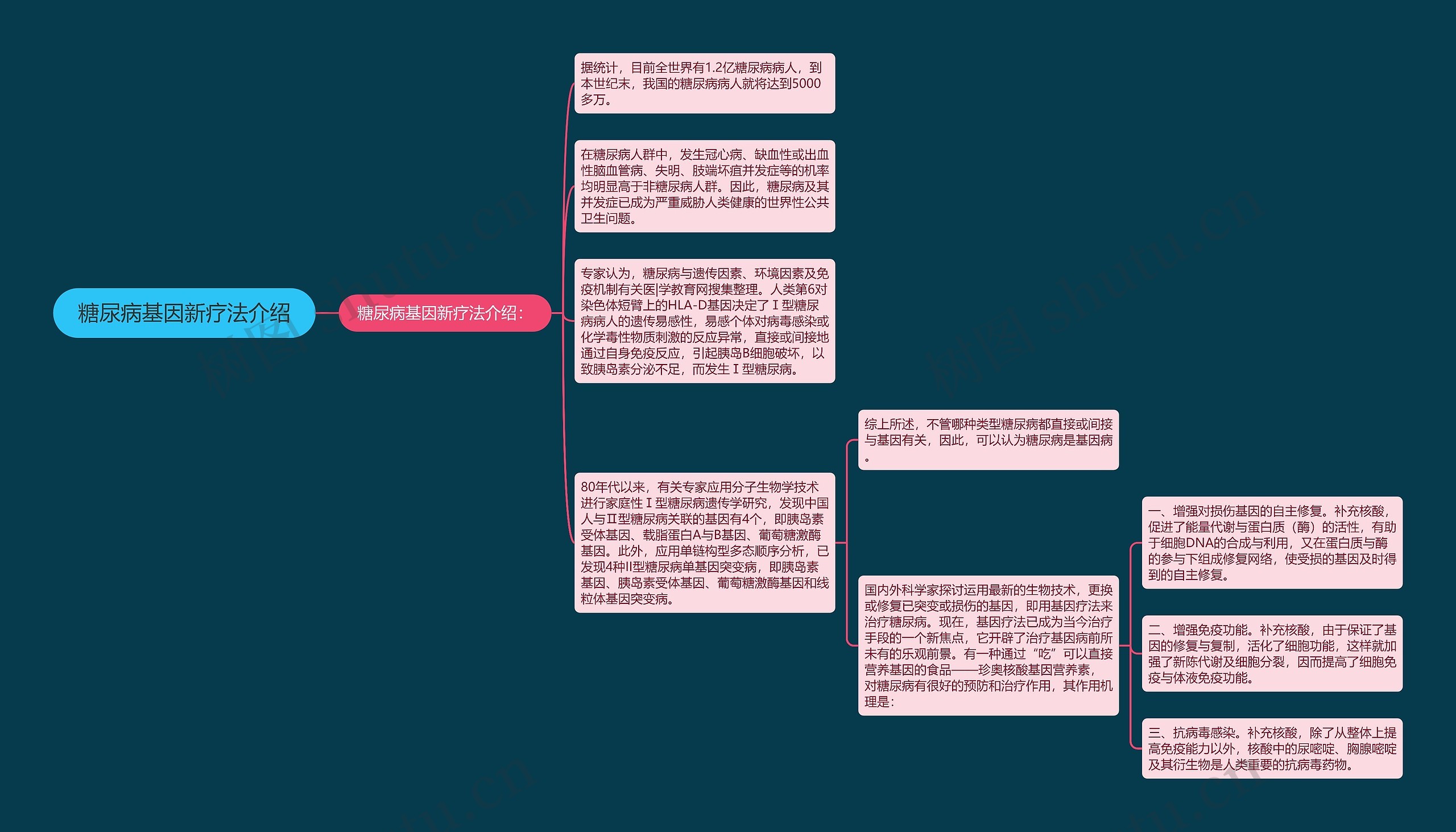 糖尿病基因新疗法介绍