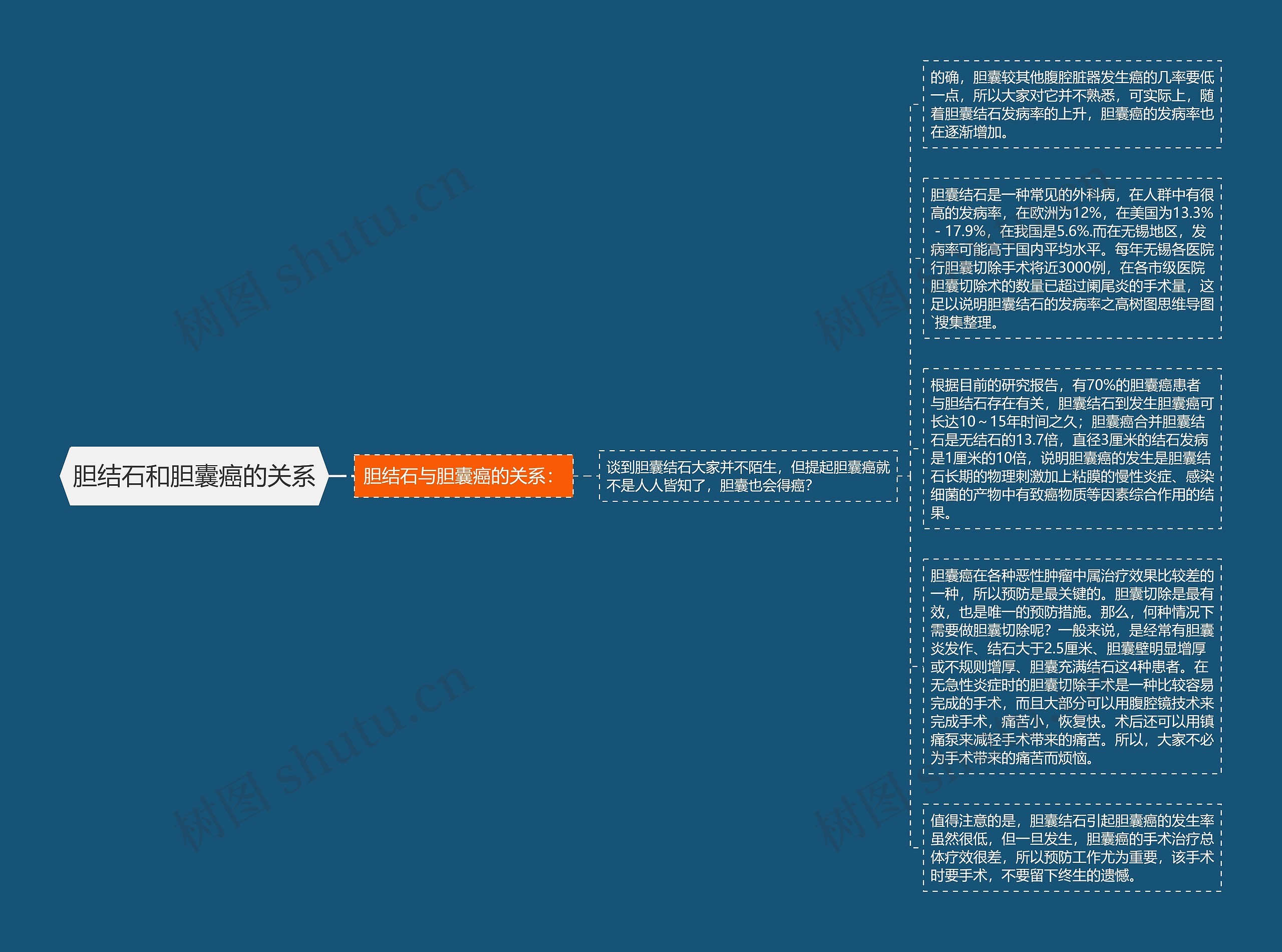 胆结石和胆囊癌的关系思维导图