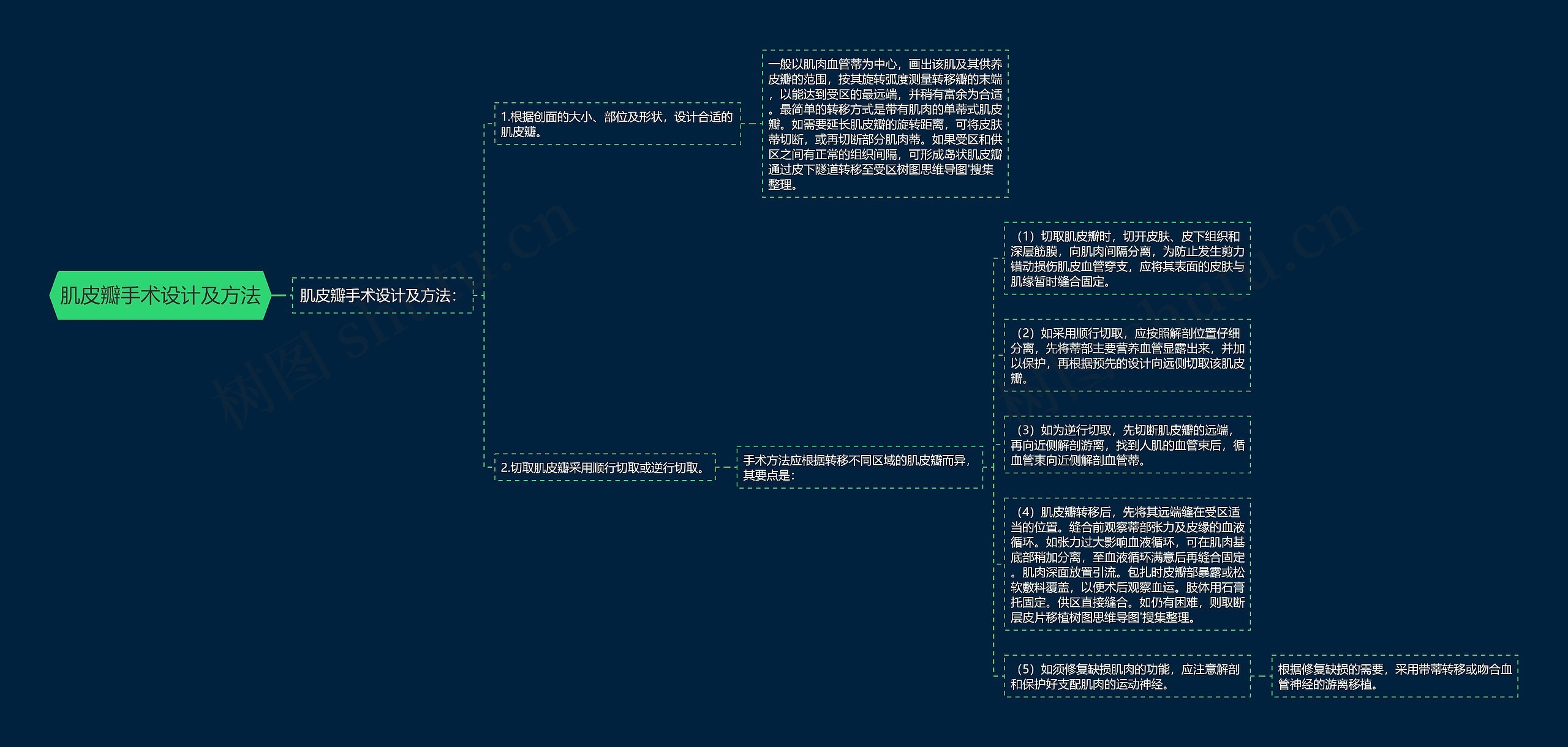 肌皮瓣手术设计及方法思维导图