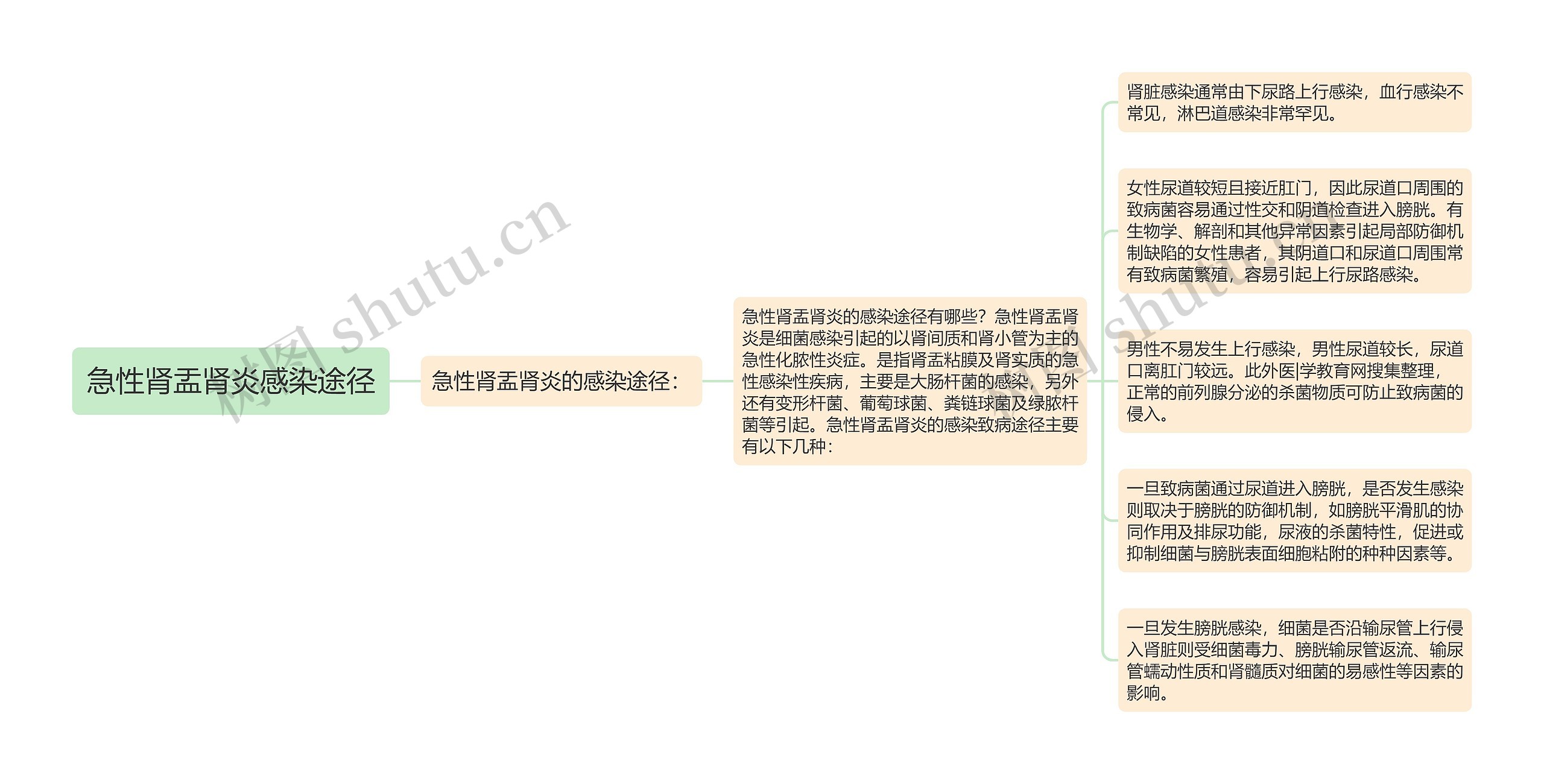 急性肾盂肾炎感染途径 急性肾盂肾炎感染途径