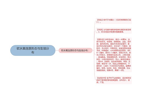 软水黄连原形态与生境分布