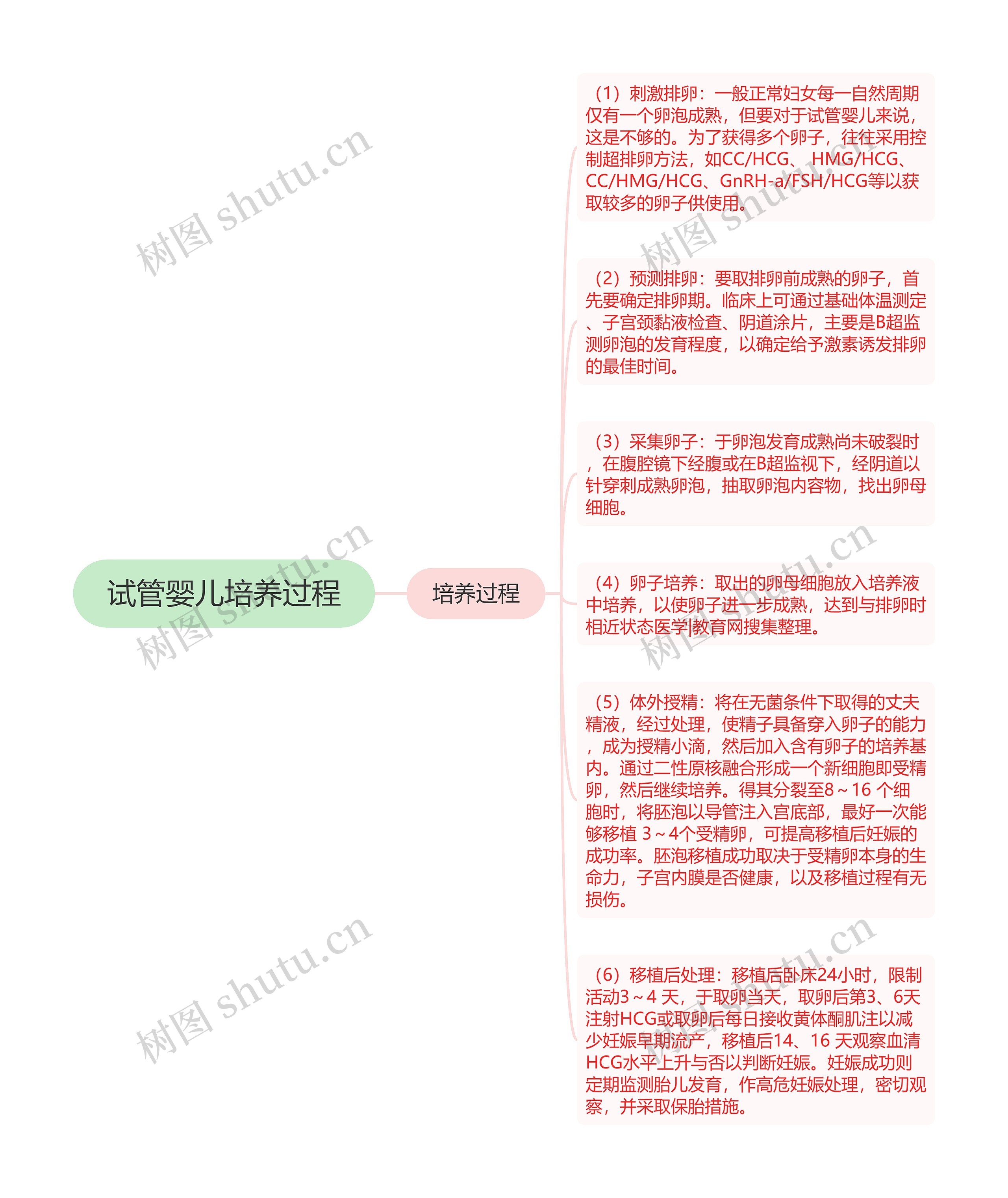 试管婴儿培养过程思维导图