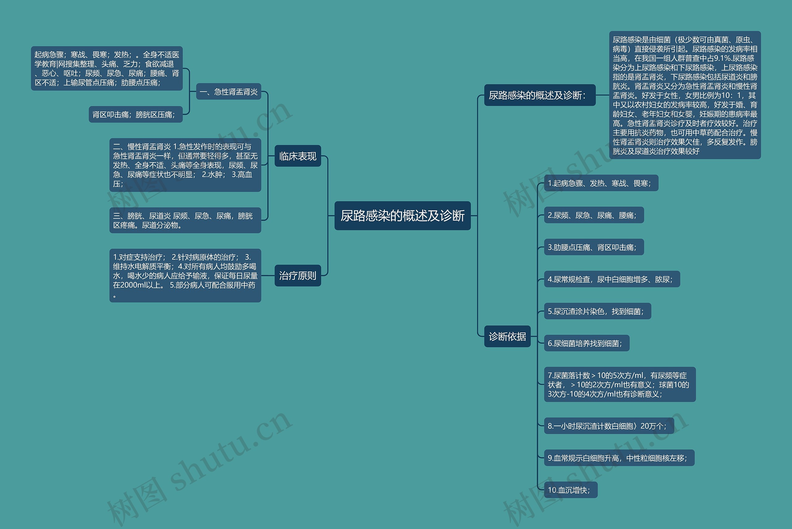 尿路感染的概述及诊断 尿路感染的概述及诊断