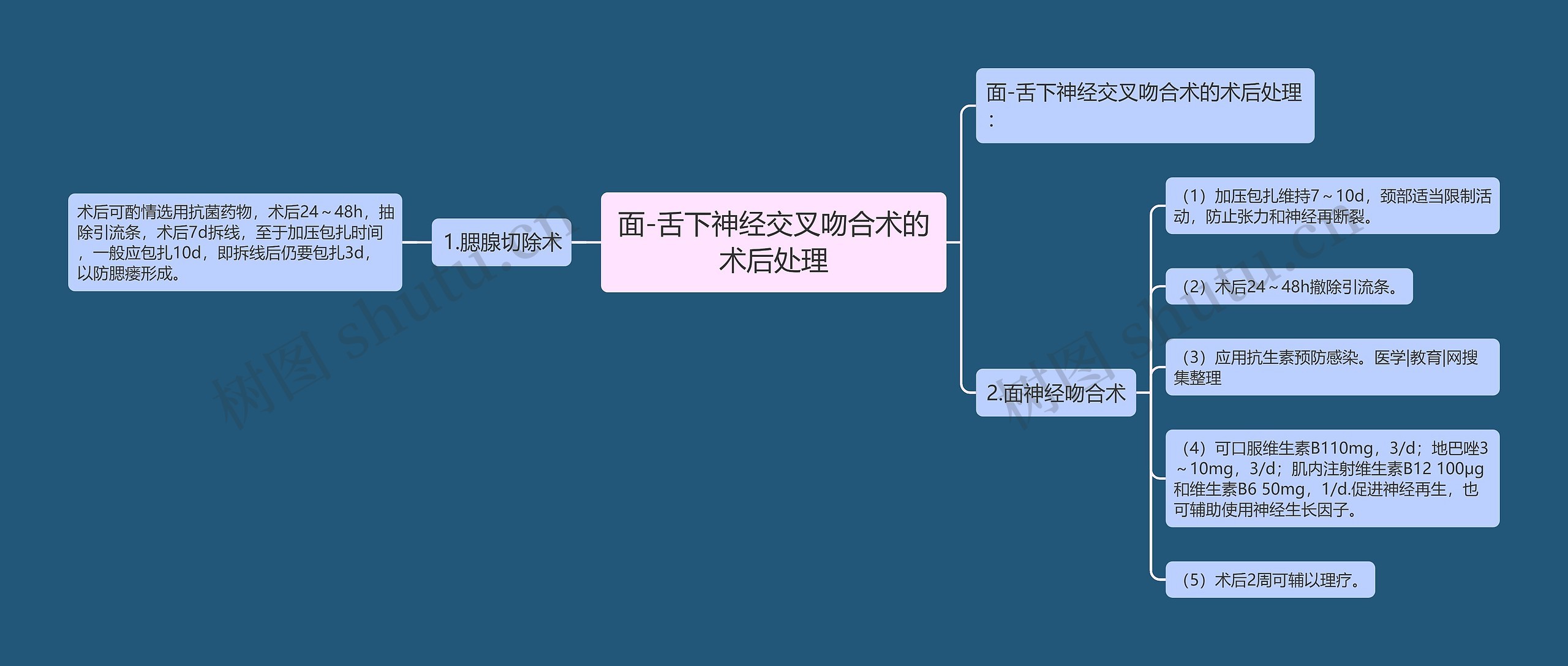 面-舌下神经交叉吻合术的术后处理思维导图